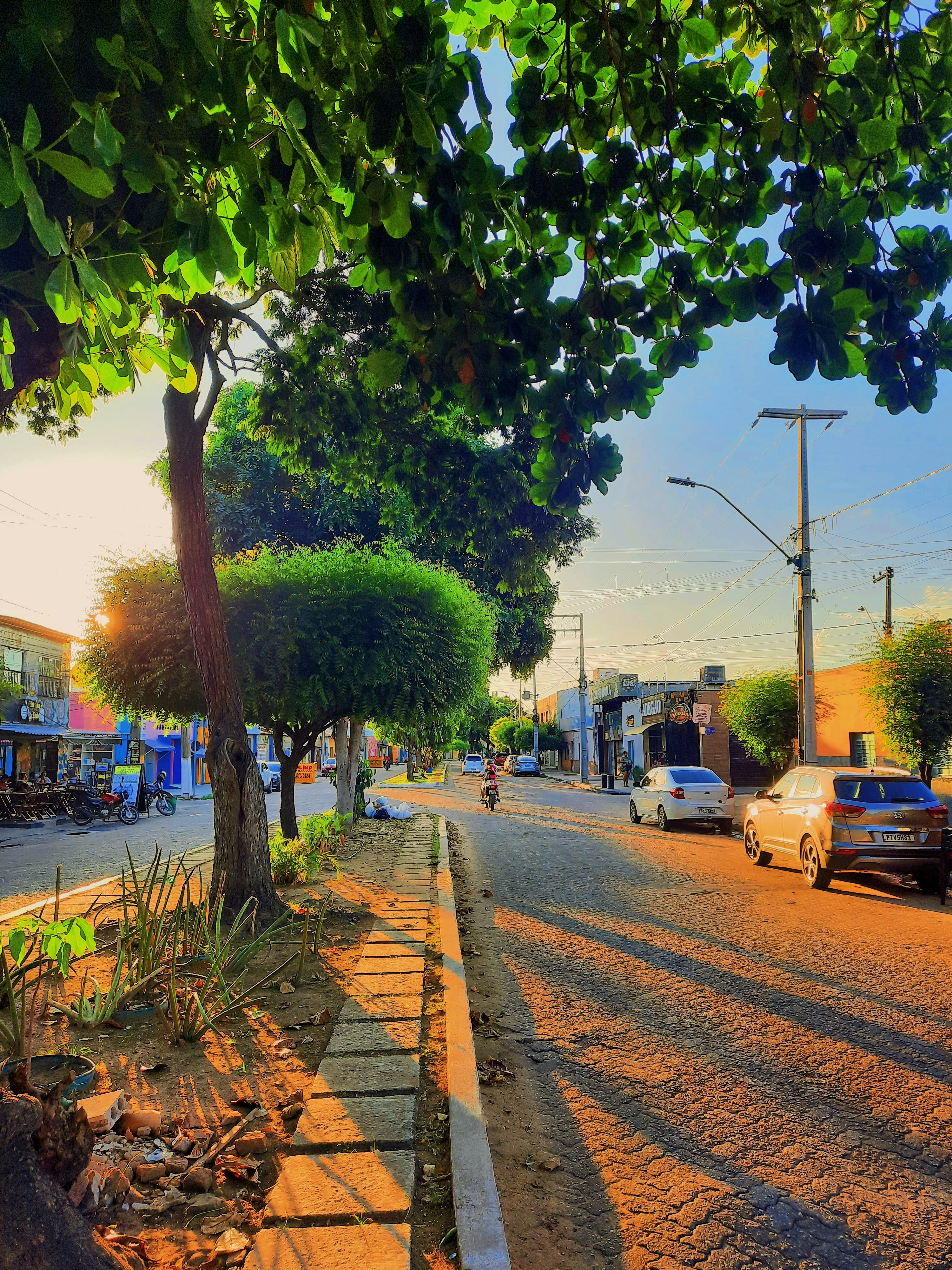 Une rue avec des voitures et des arbres photo – Photo Rue Gratuite sur ...