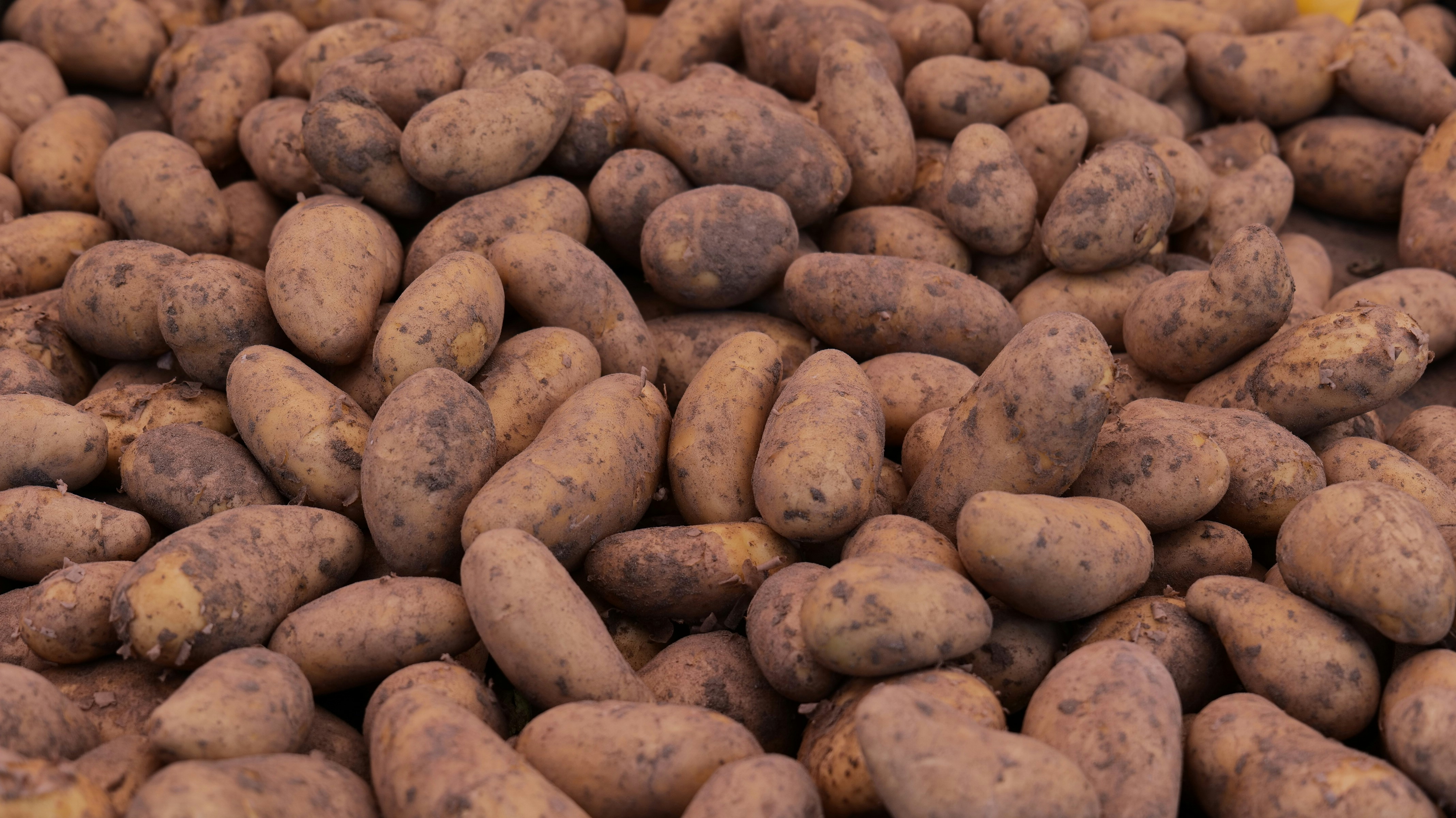 Photo by trisolarian