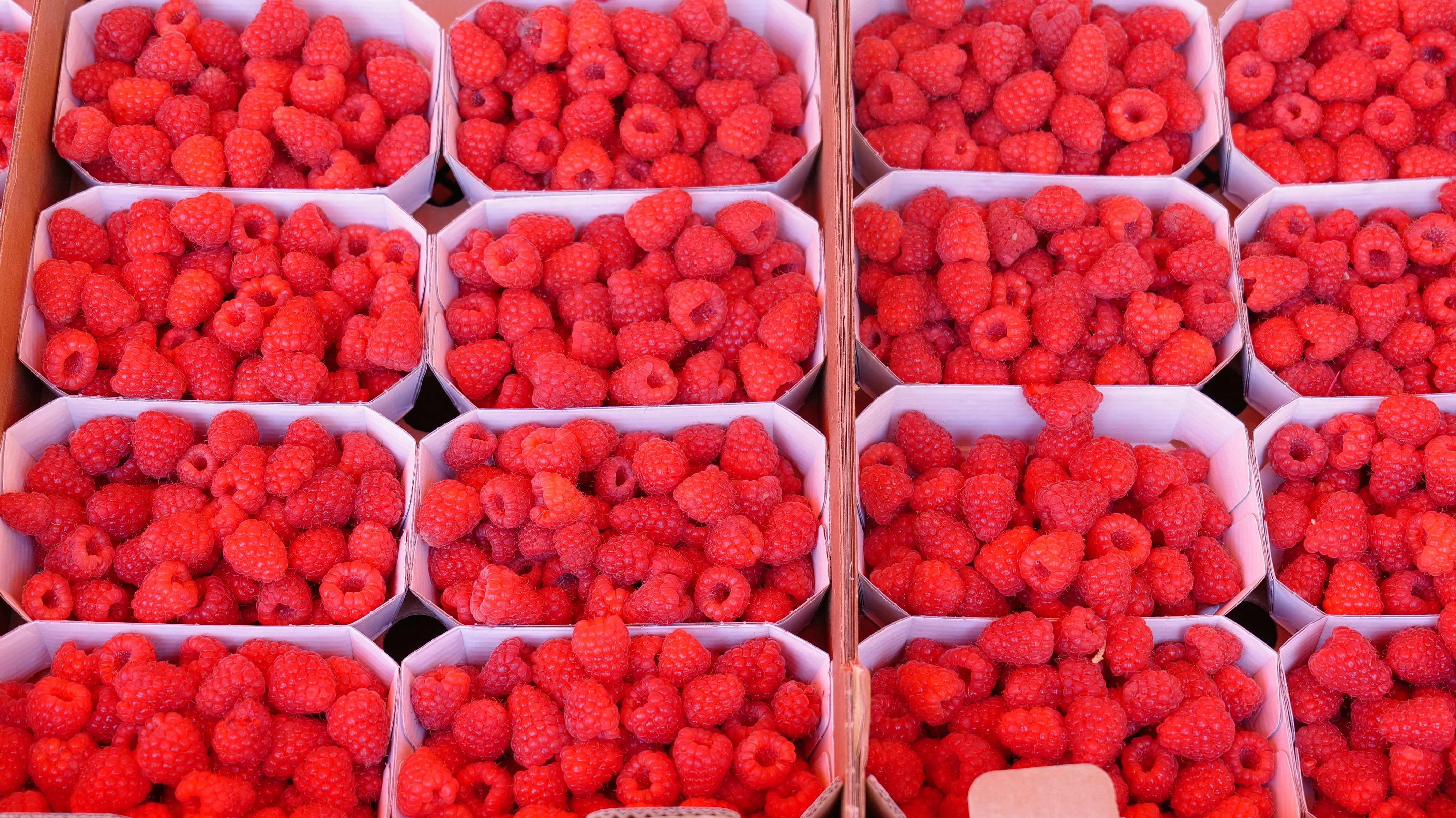 a group of red strawberries