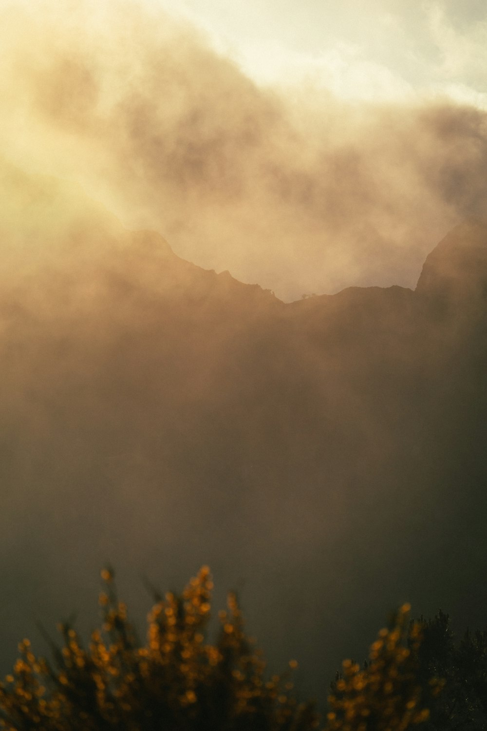 a large cloud of smoke