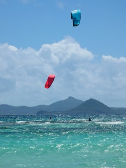 A serene view of Point Buckler Island with kiteboarders gliding over the water against a backdrop of lush greenery.
