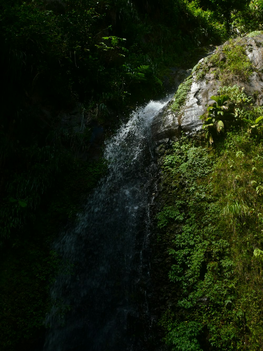 a waterfall in a forest