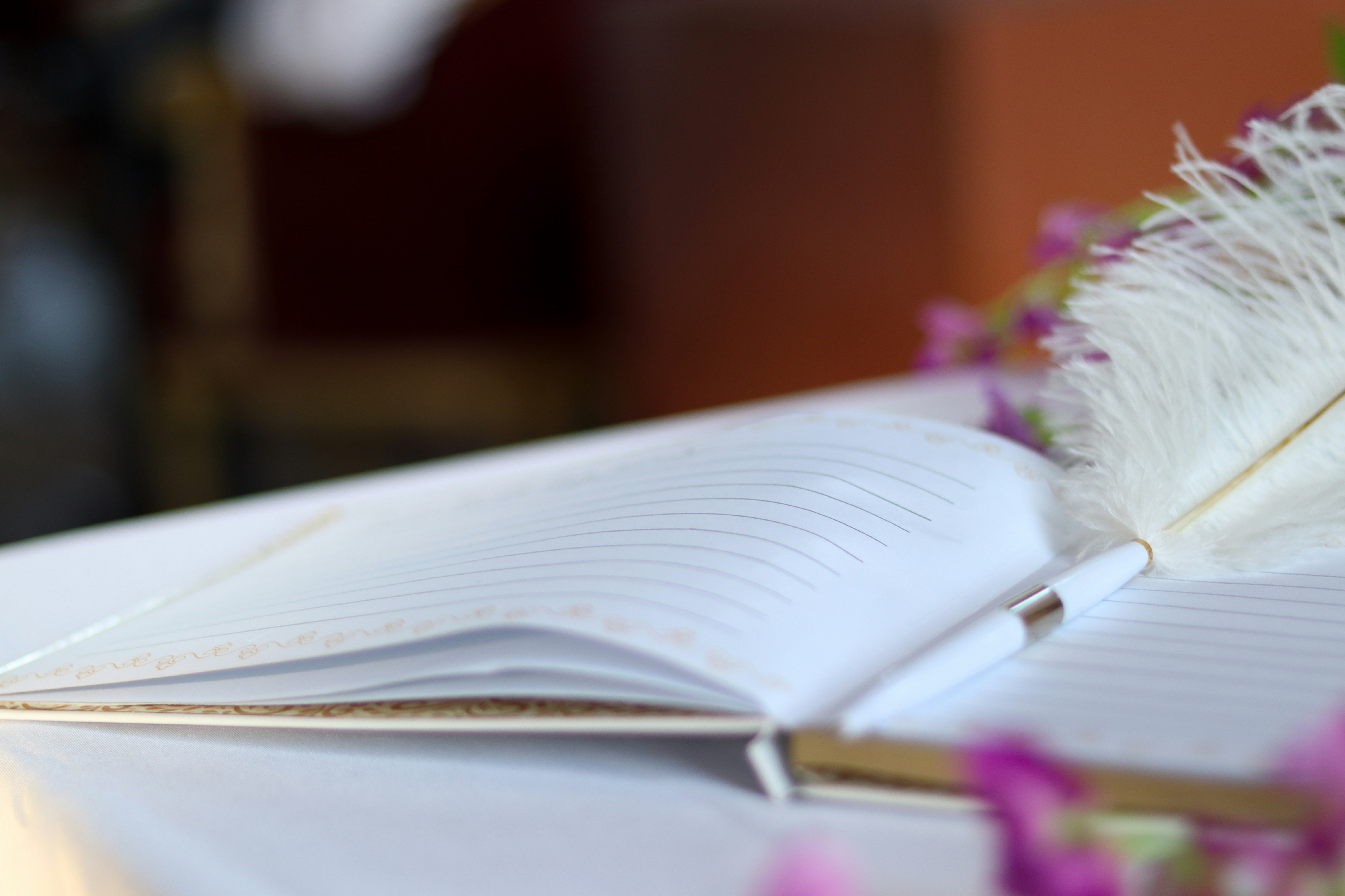 a close-up of a book