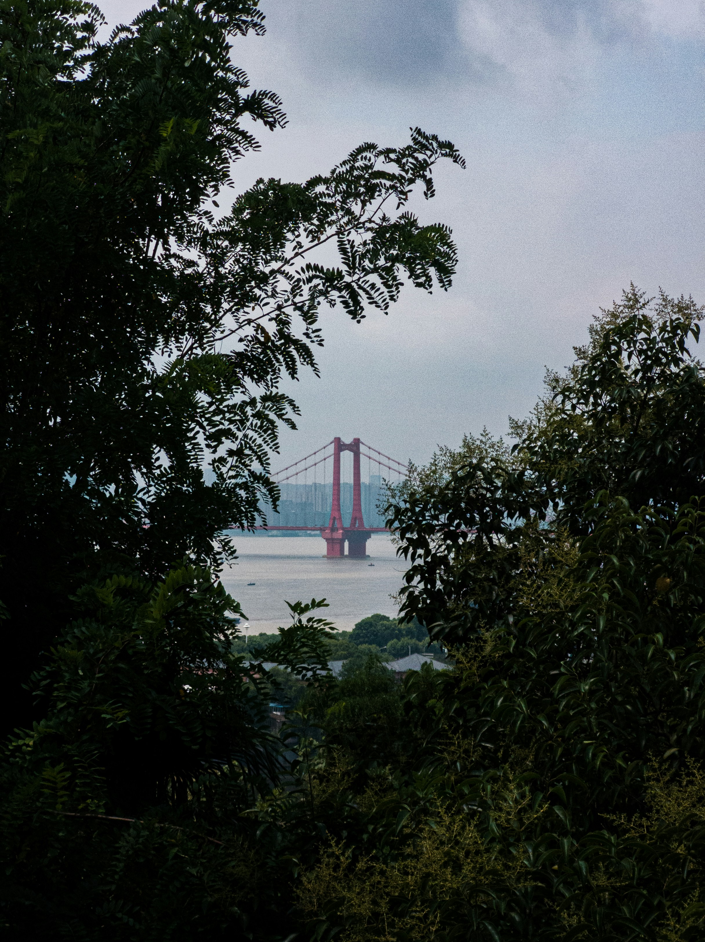 Photo by hg2113