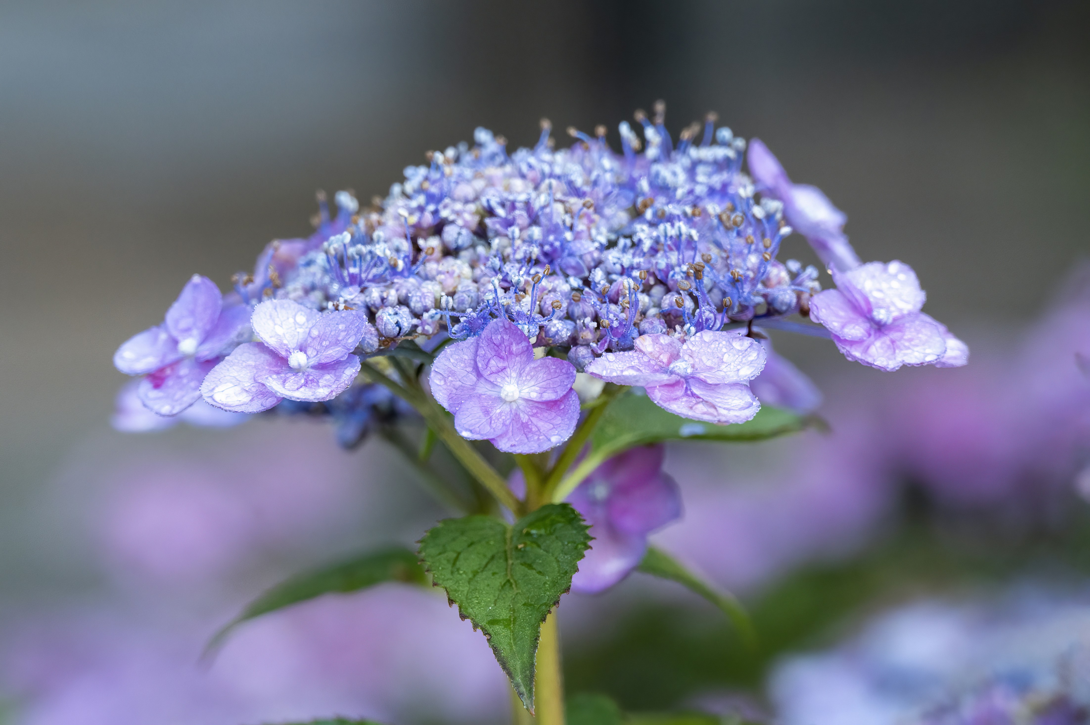 Photo by cholewinski