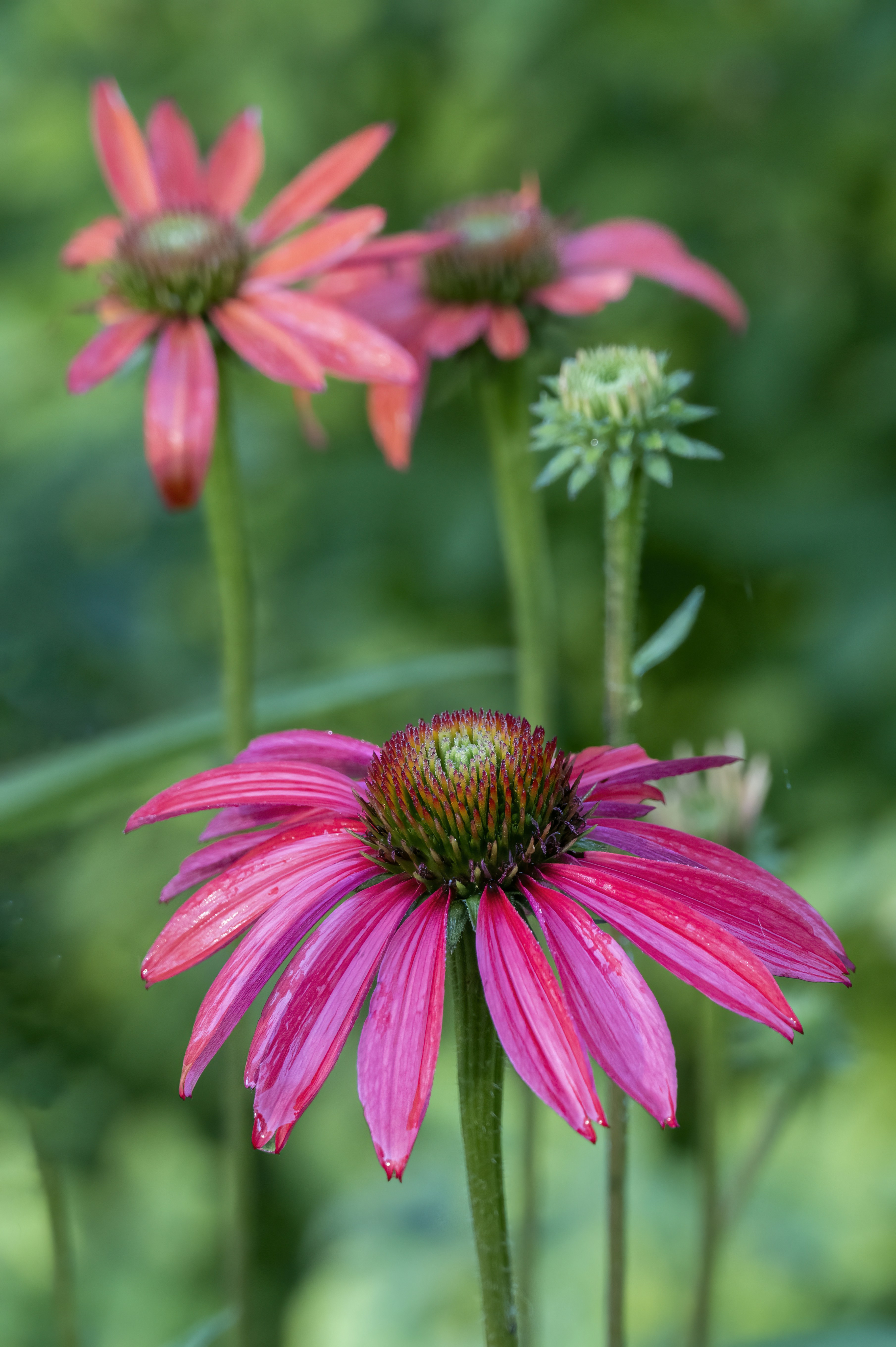 Photo by cholewinski