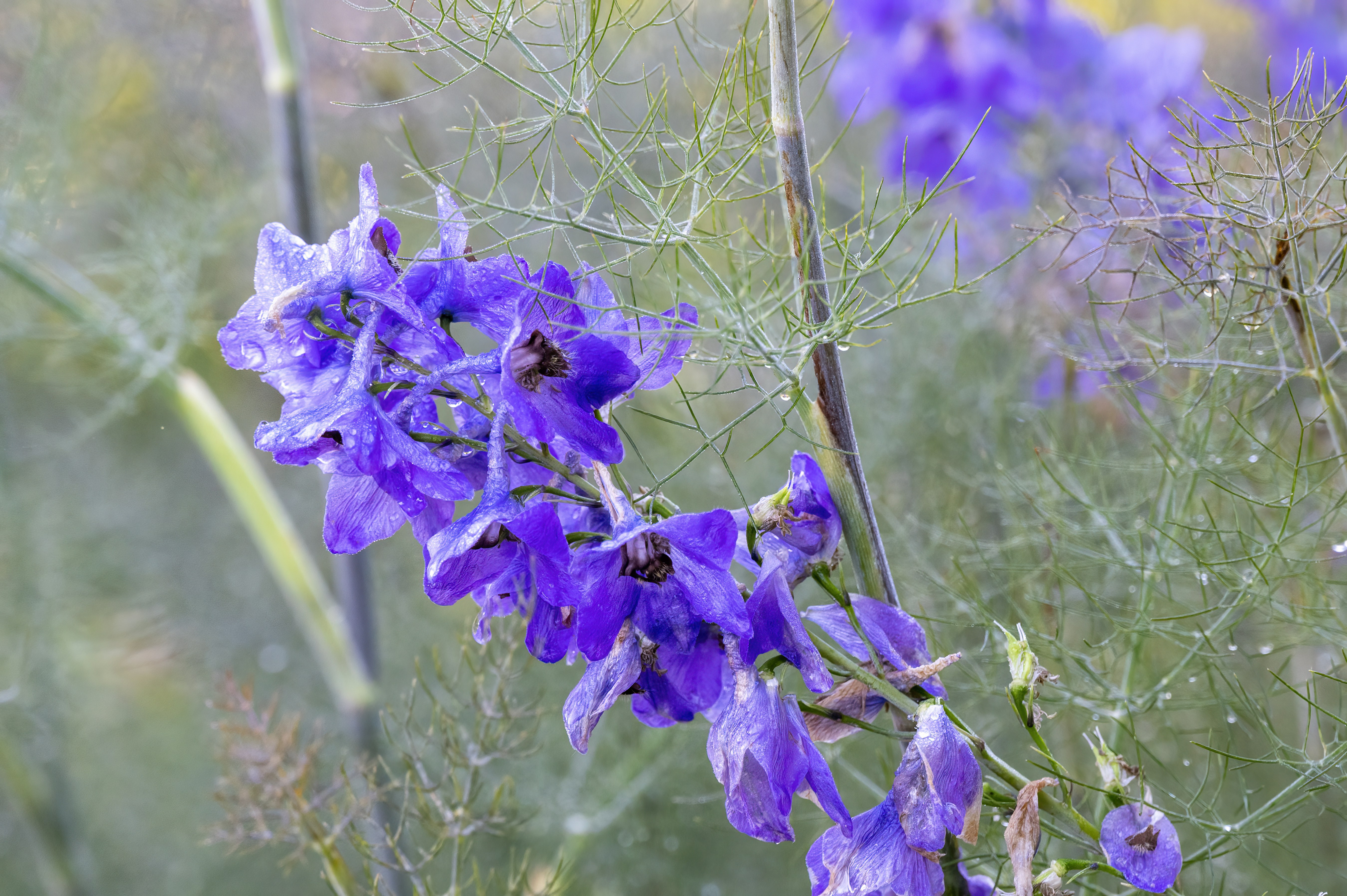 Photo by cholewinski