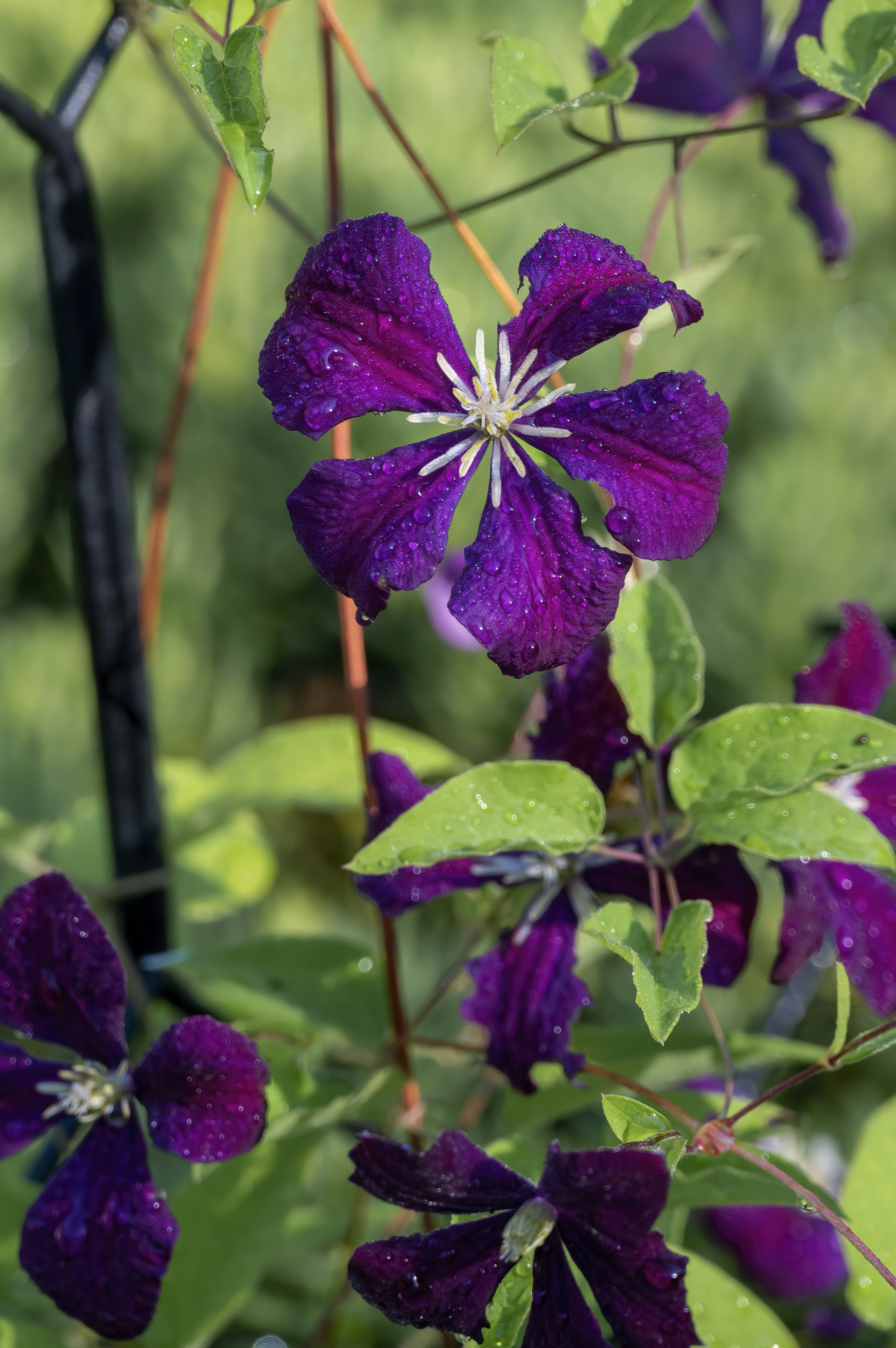 Photo by cholewinski