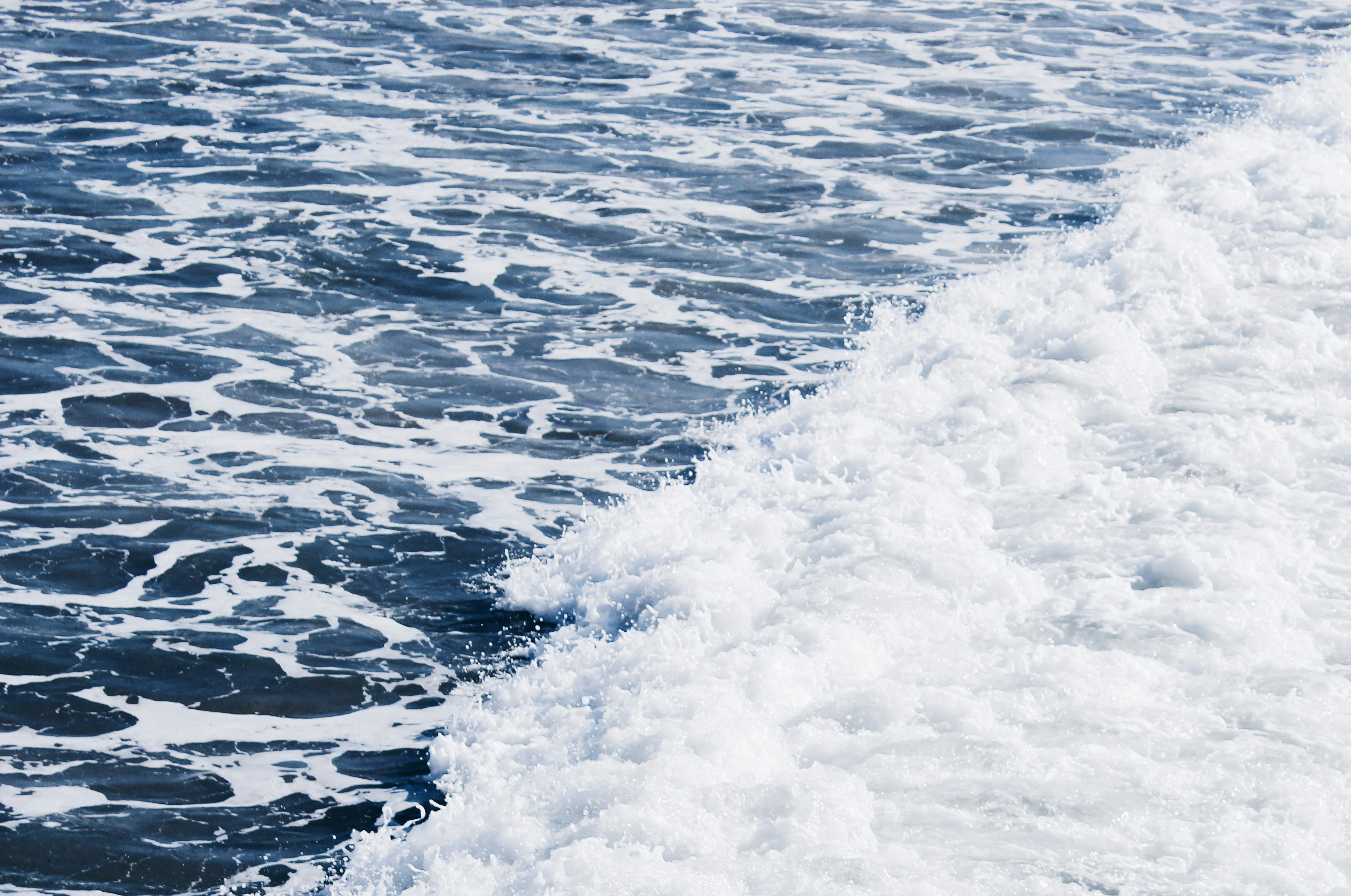 Photo by weylandswart