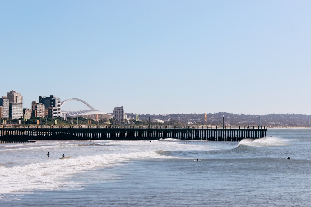 a group of people surfing in the sea