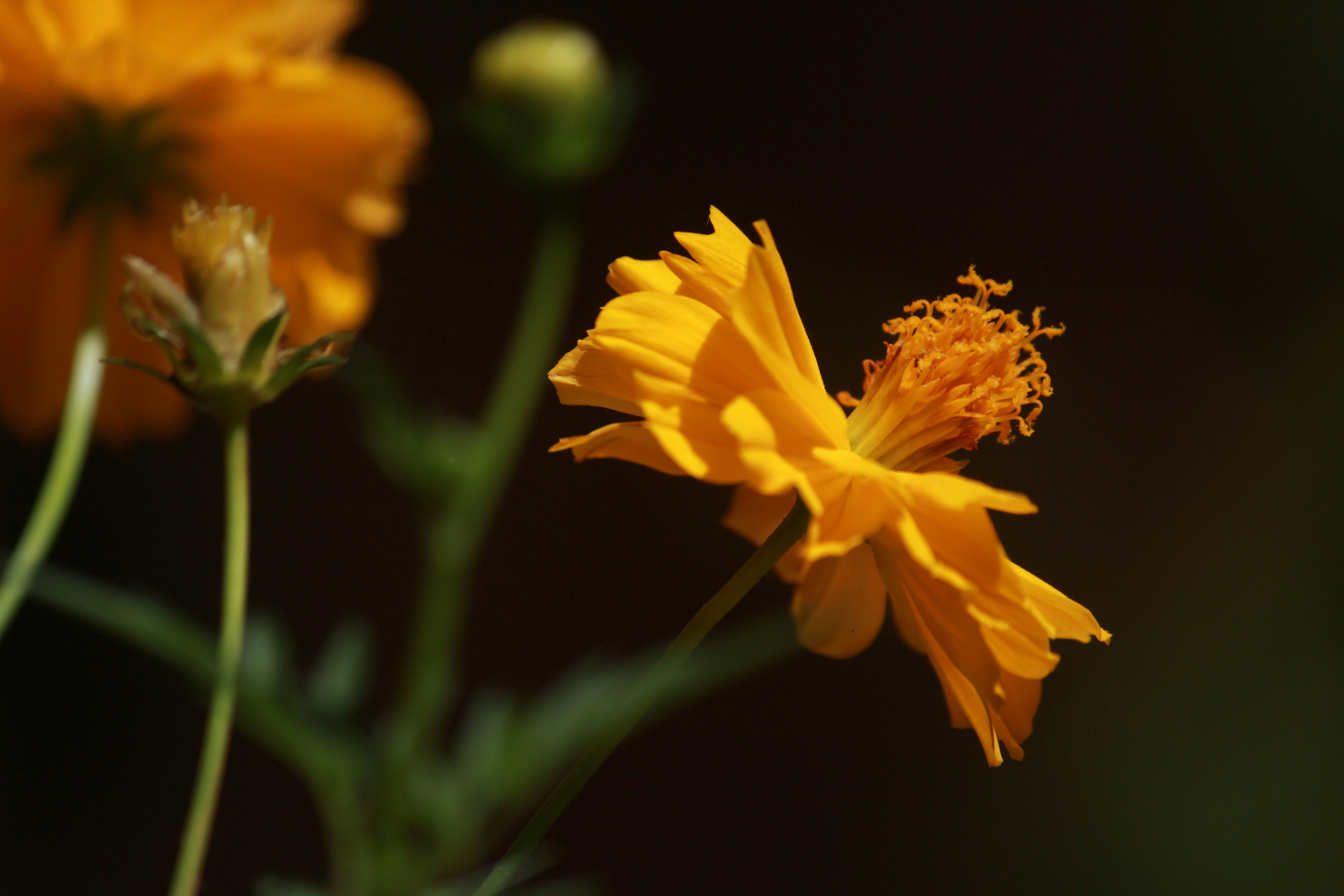 Photo by srini2srinivas