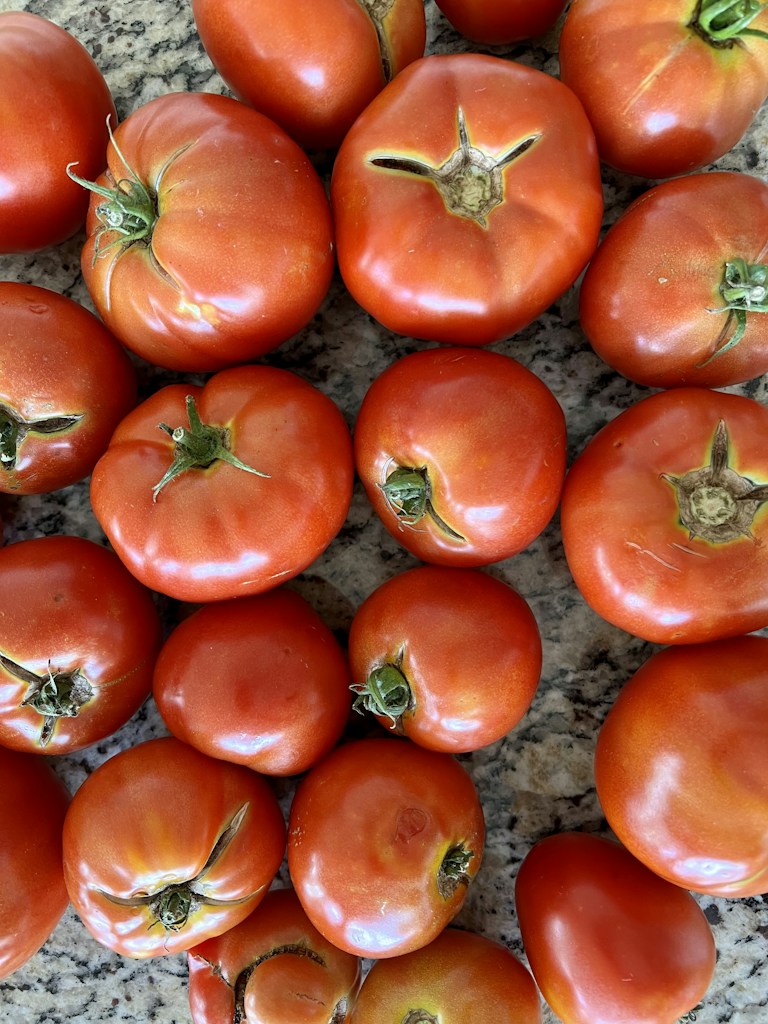 Pomodori rossi