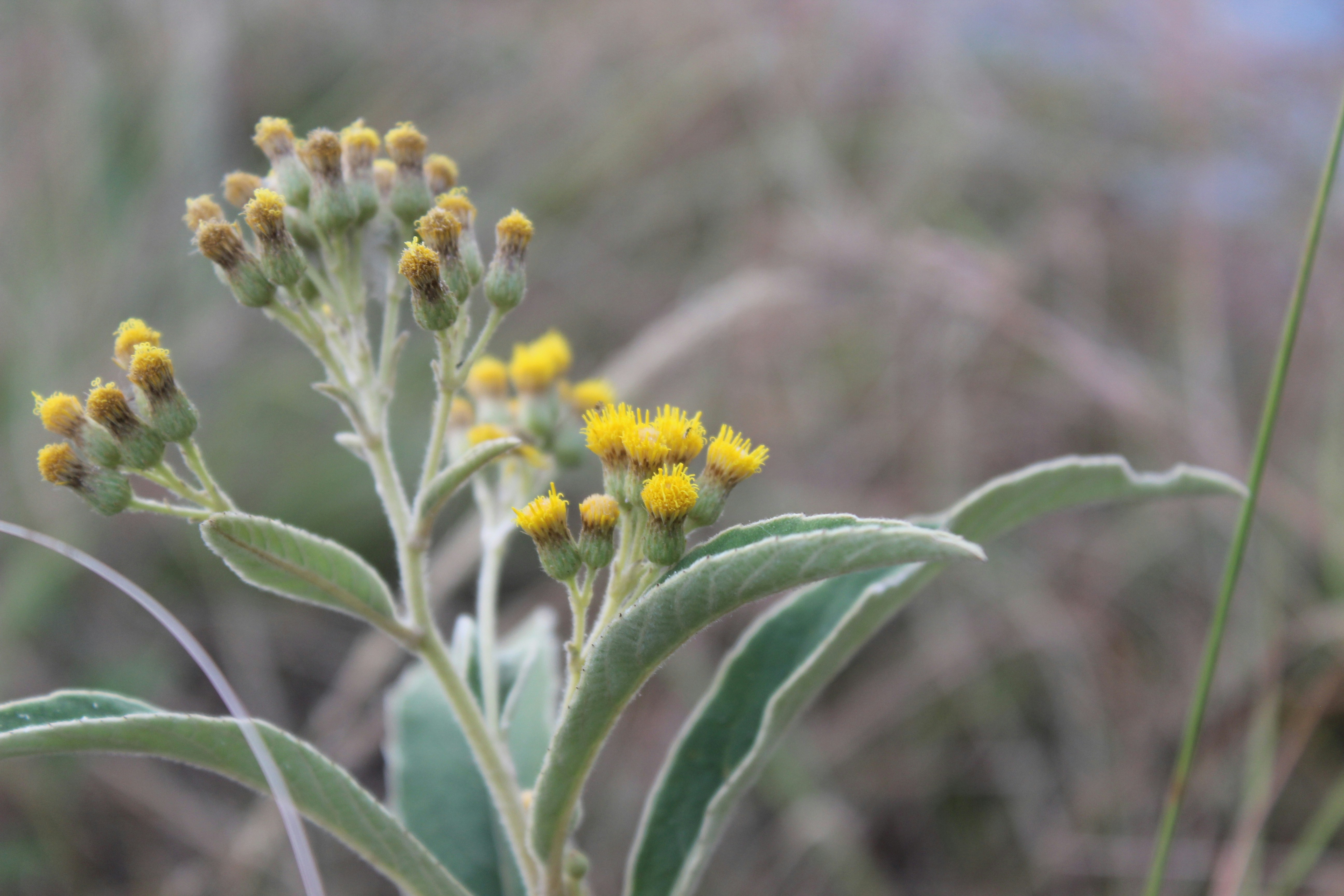 Photo by pr_abhishek