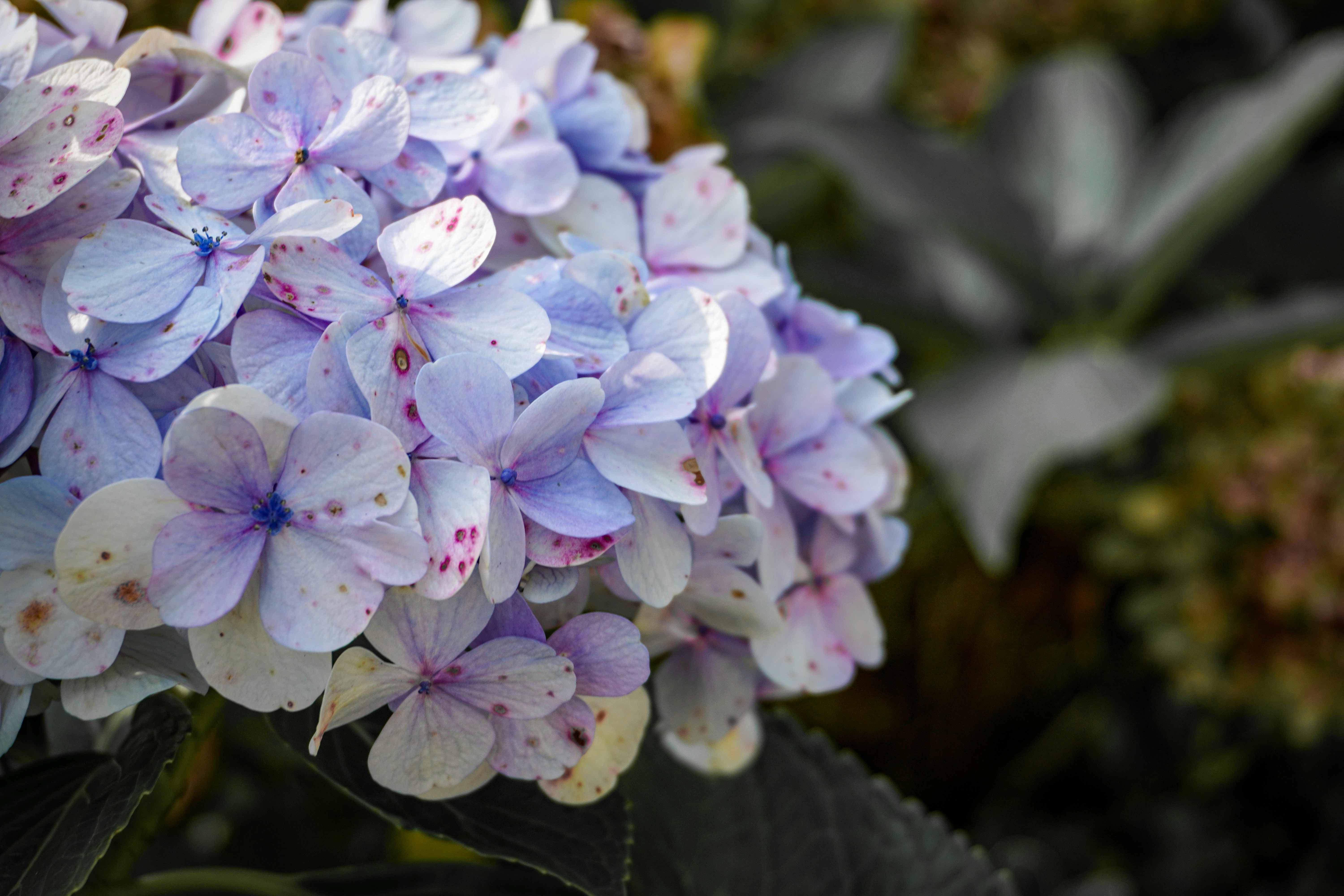 Photo by pixel_lenseart