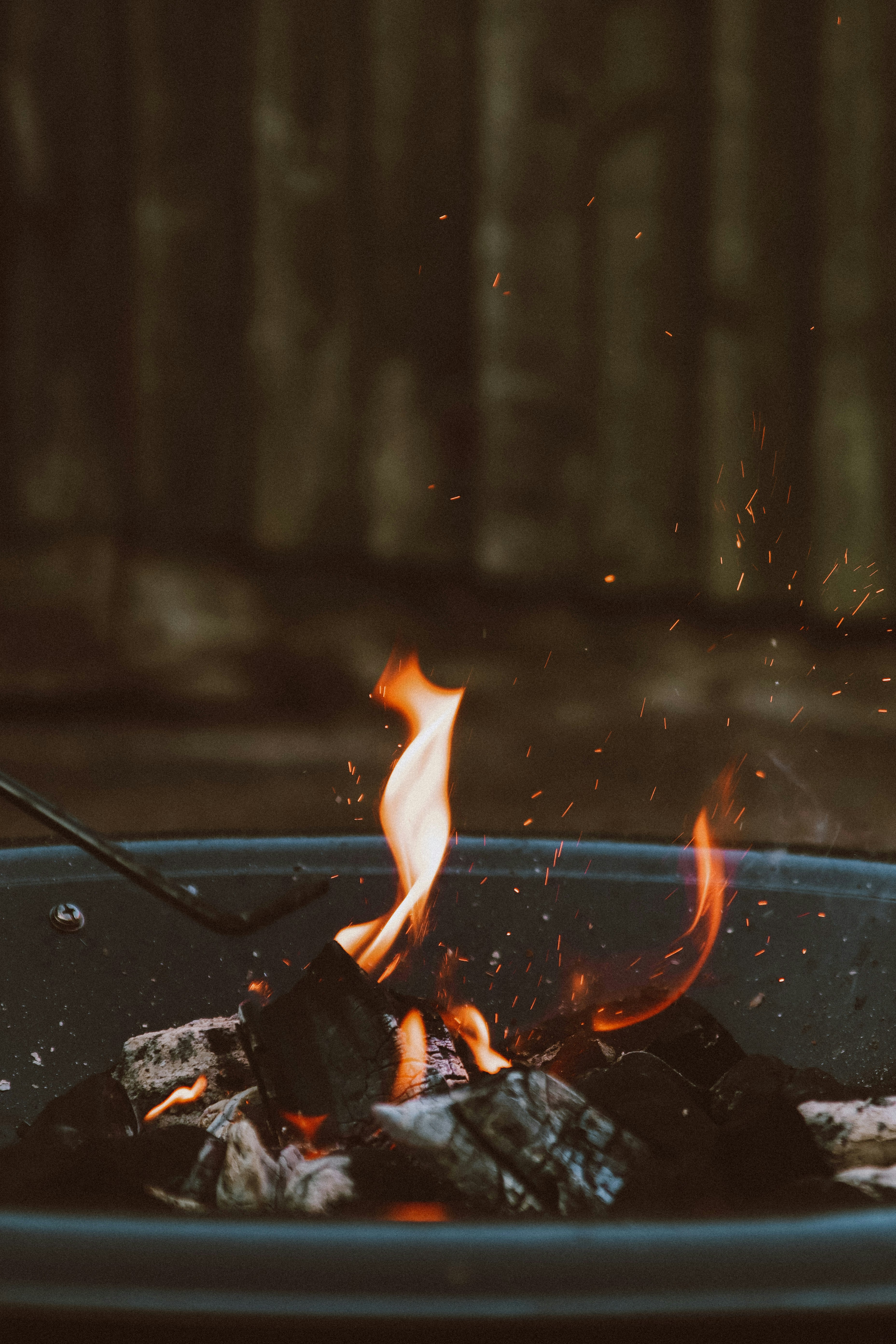 Photo by lanathegraves