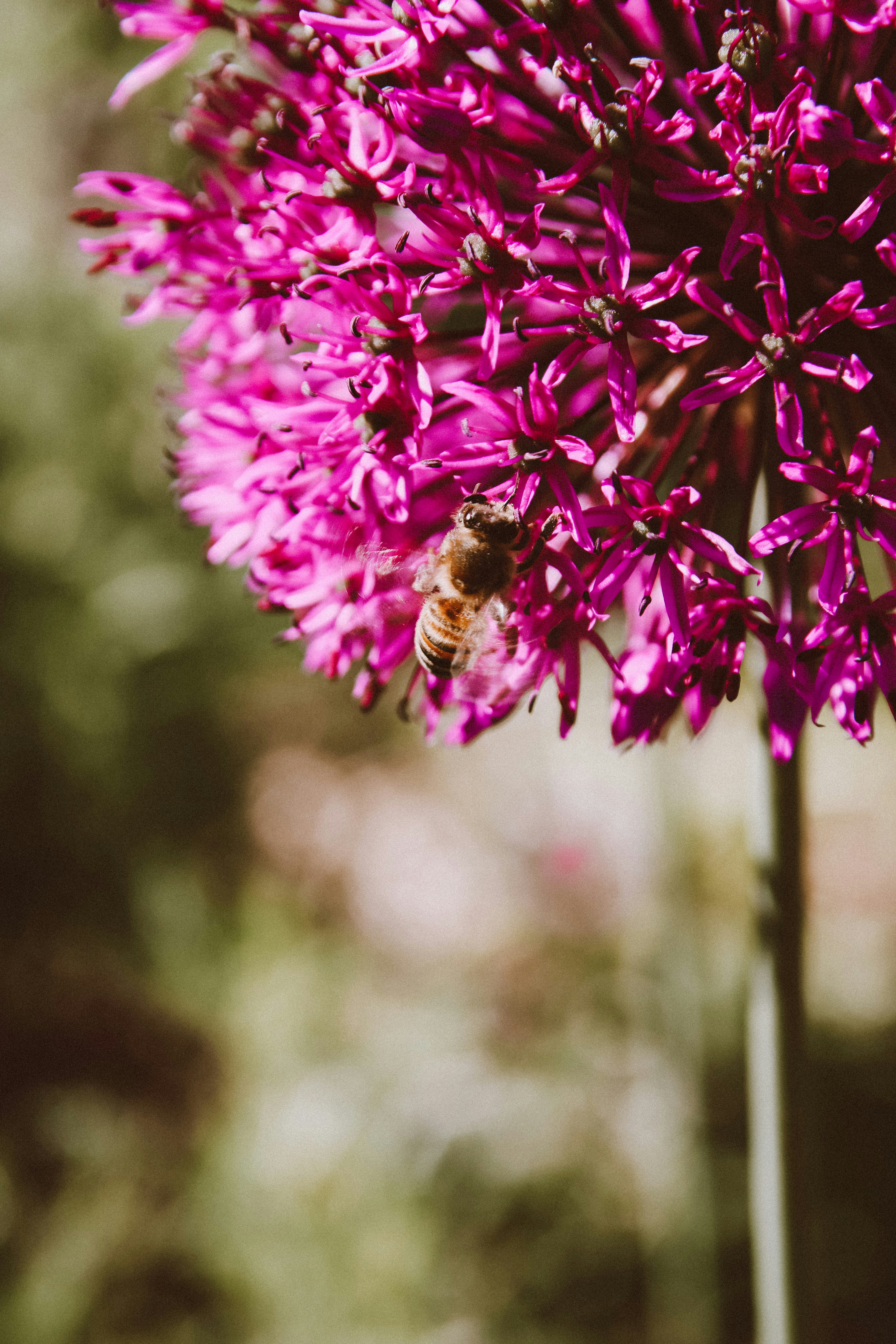 Photo by lanathegraves