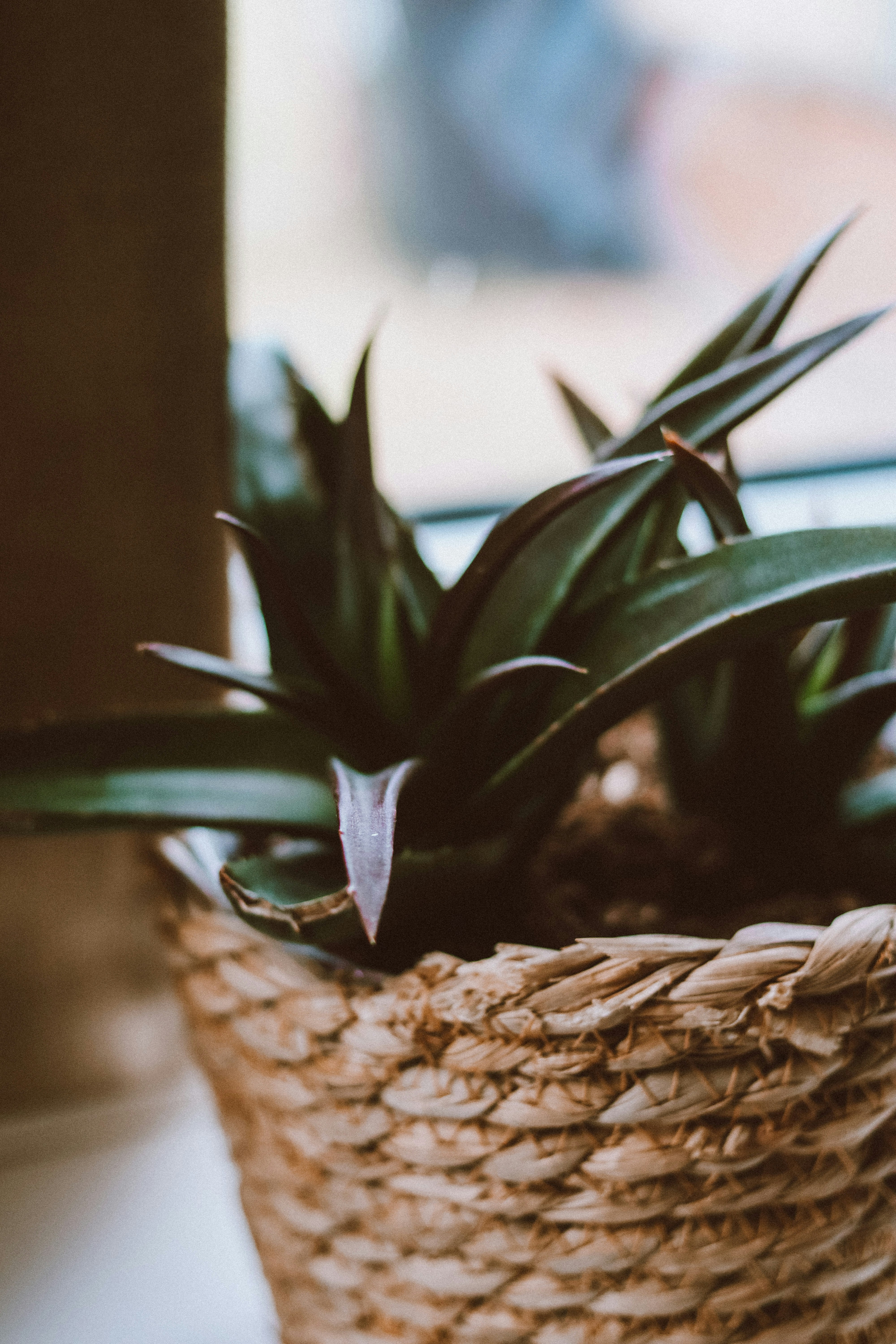 Photo by lanathegraves