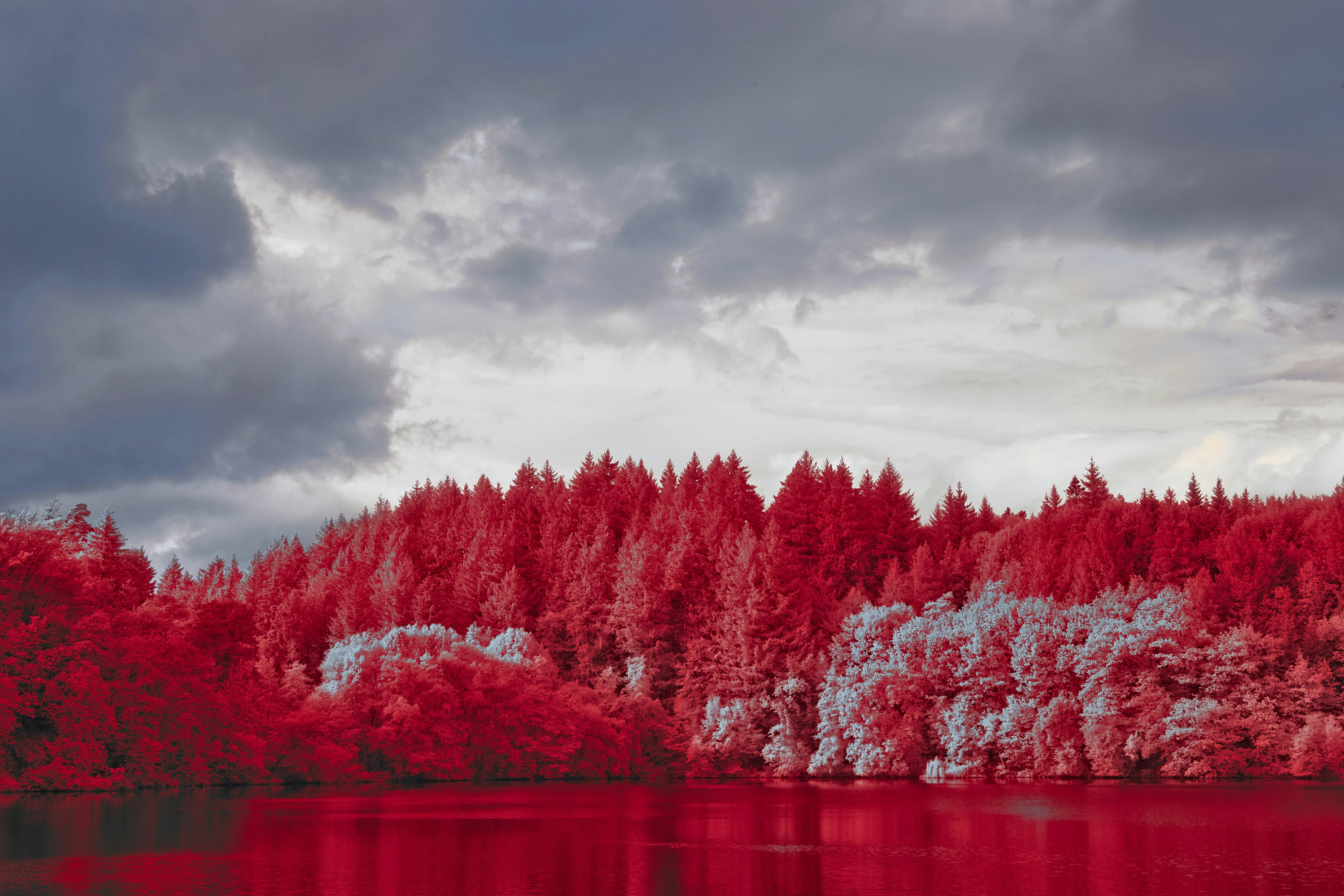 Photo by wolfgang_hasselmann