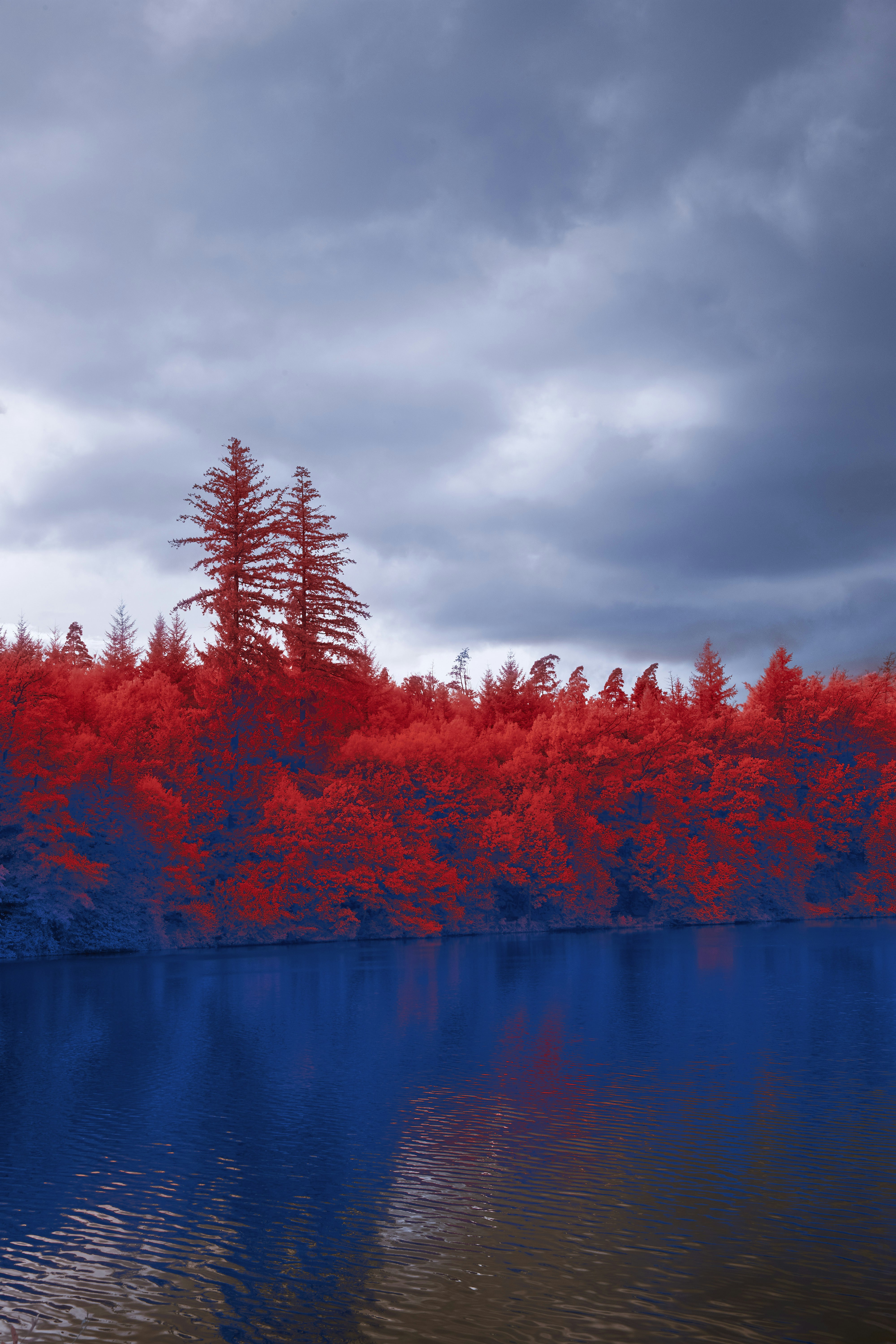 Photo by wolfgang_hasselmann