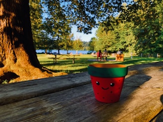 A smiling customer savoring a mango pot in a sunny park setting.