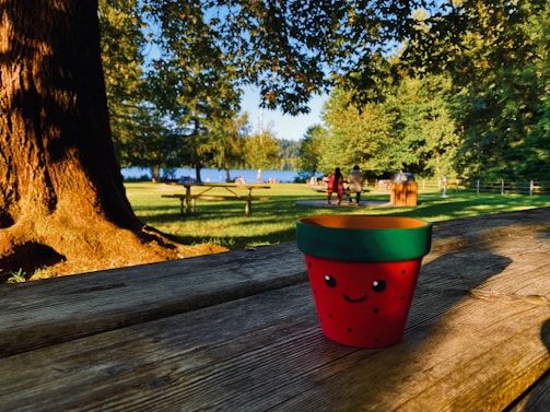 A smiling customer savoring a mango pot in a sunny park setting.