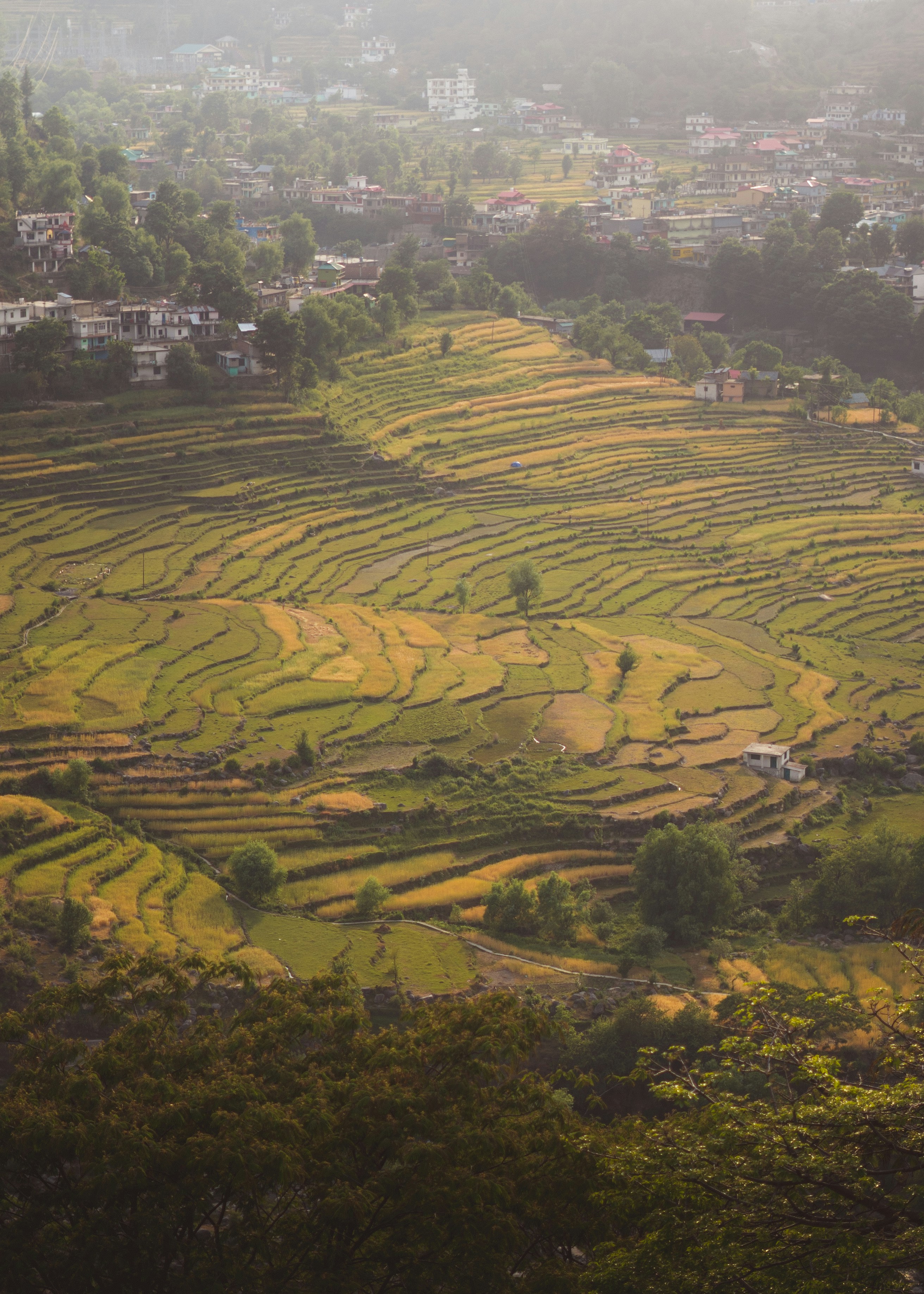 Photo by sharadmbhat