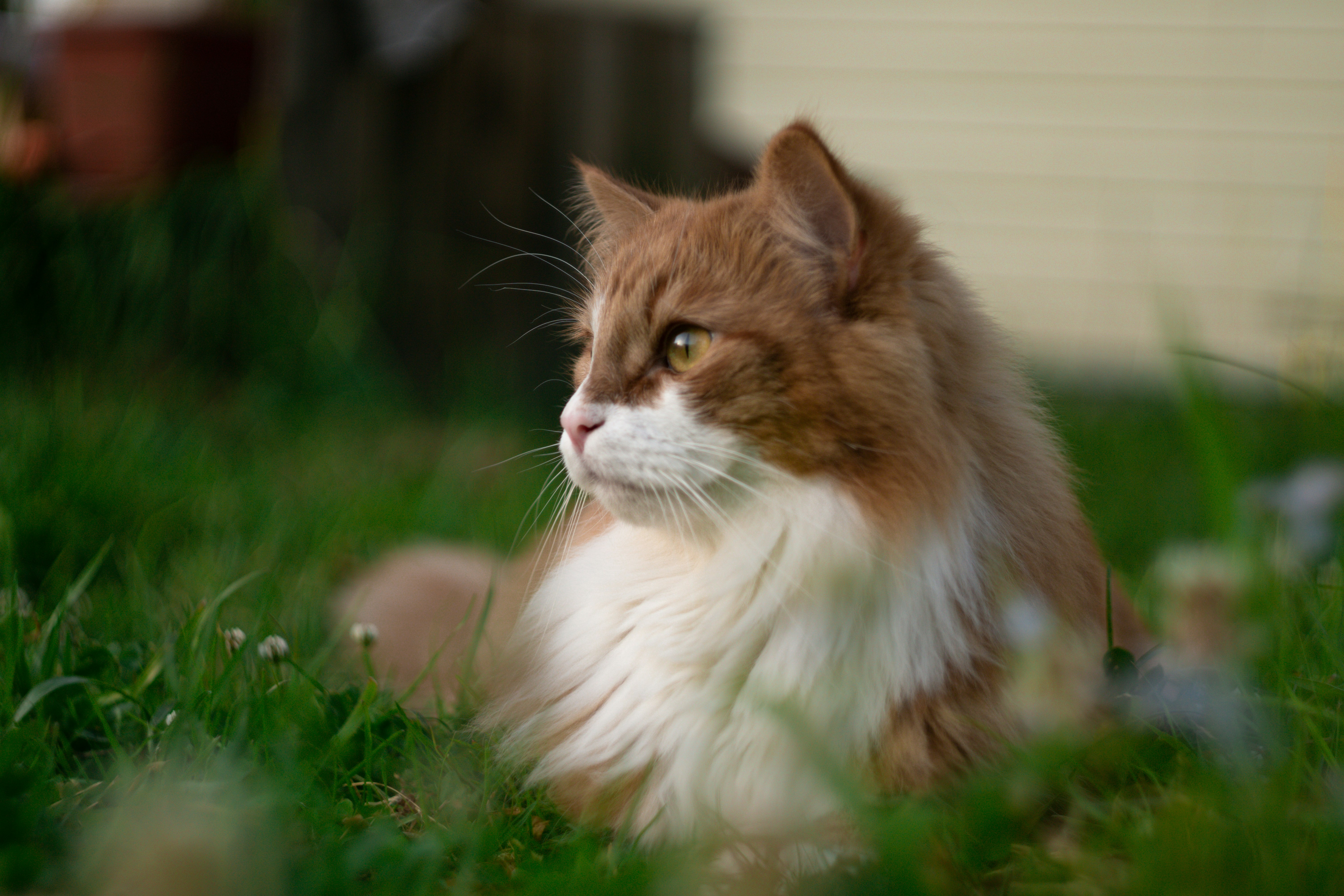 Photo by antohakraev