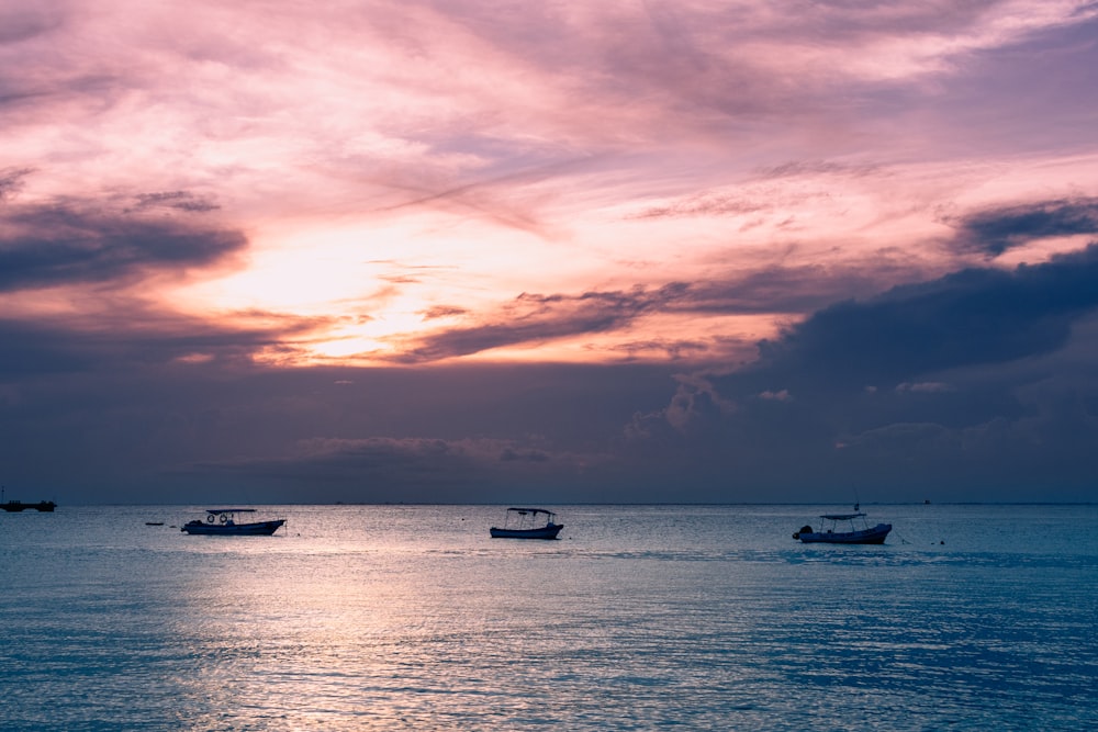 boats in the water