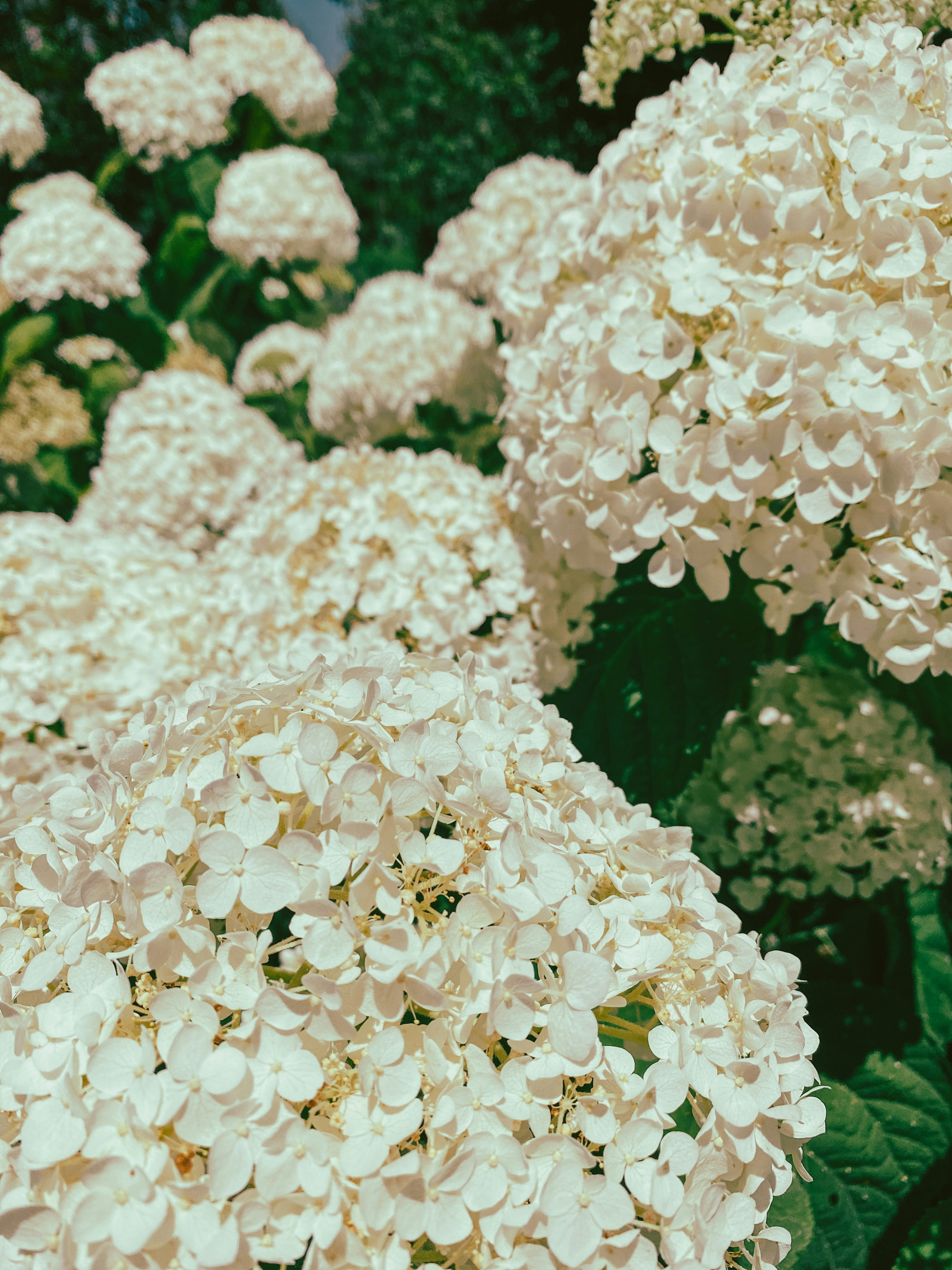 Photo by itsjustwyatt