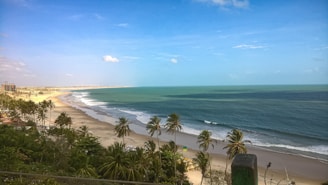 View of the beach from Casa Bacutia, showing sand, sea, and nearby palm trees