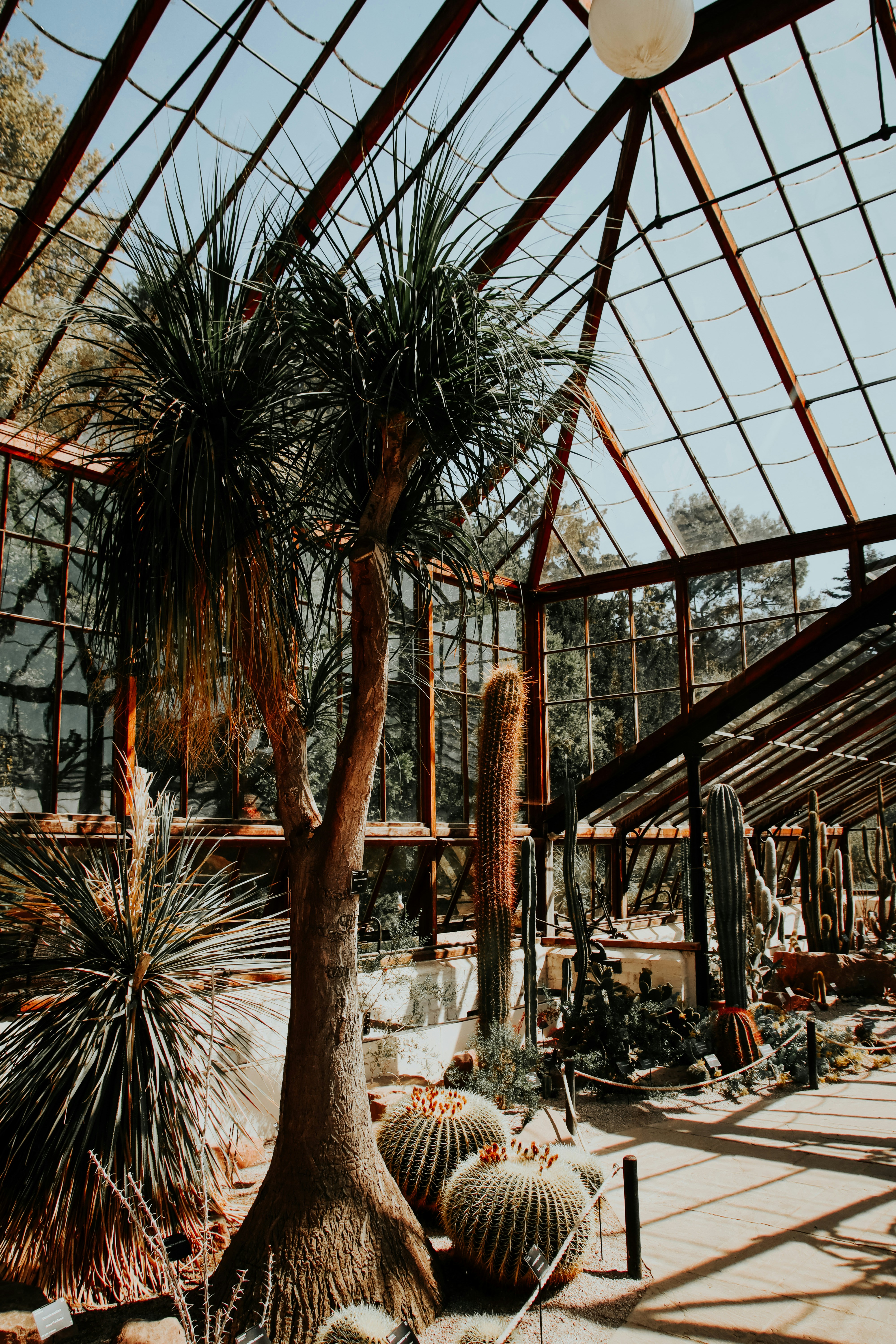 Photo by lanathegraves