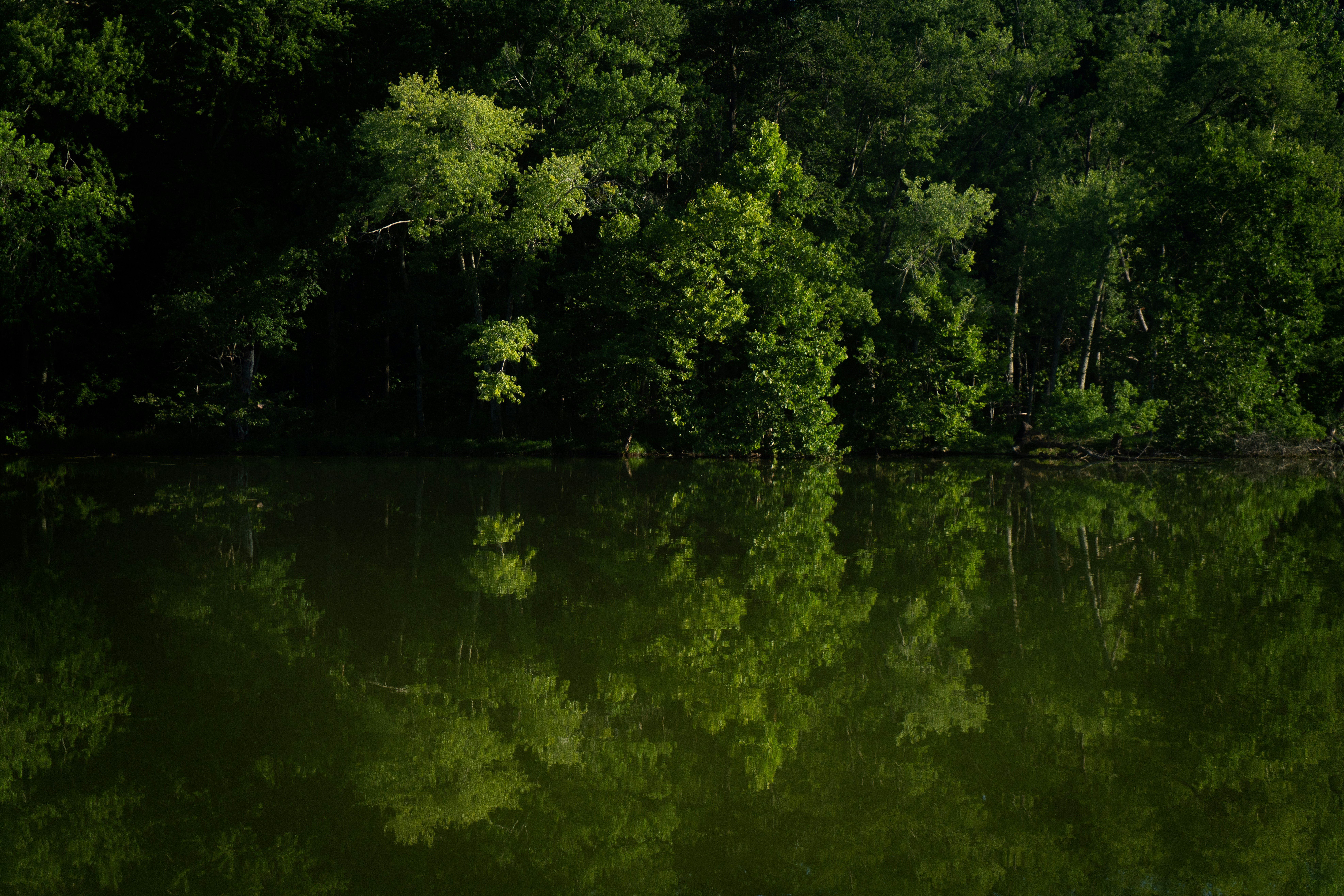 Photo by intricateexplorer