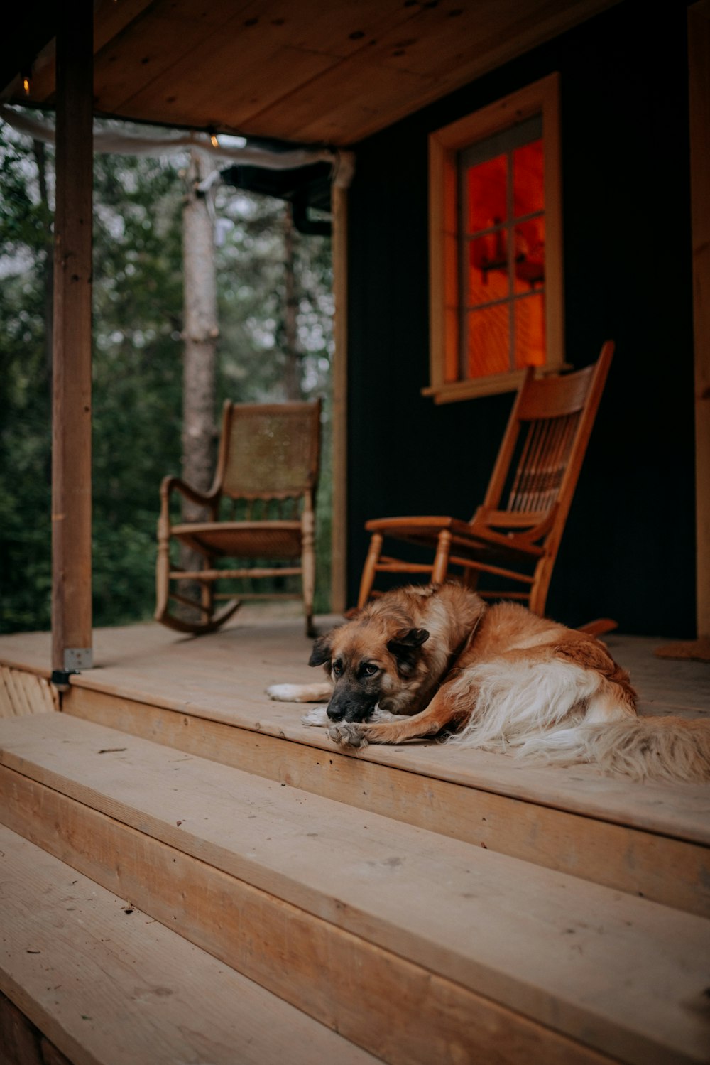 a dog lying on top of a wooden chair