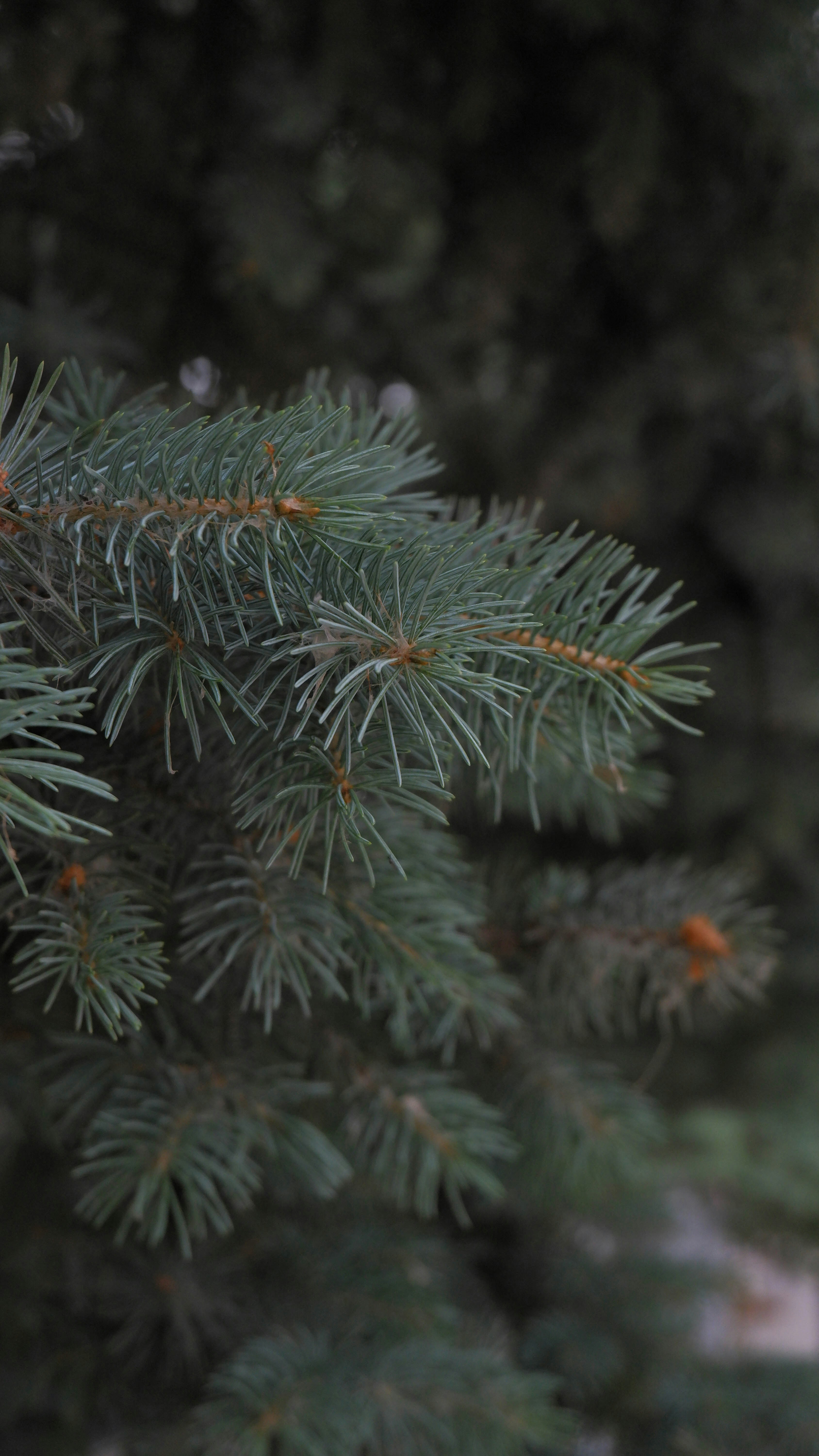 Photo by russellfoto