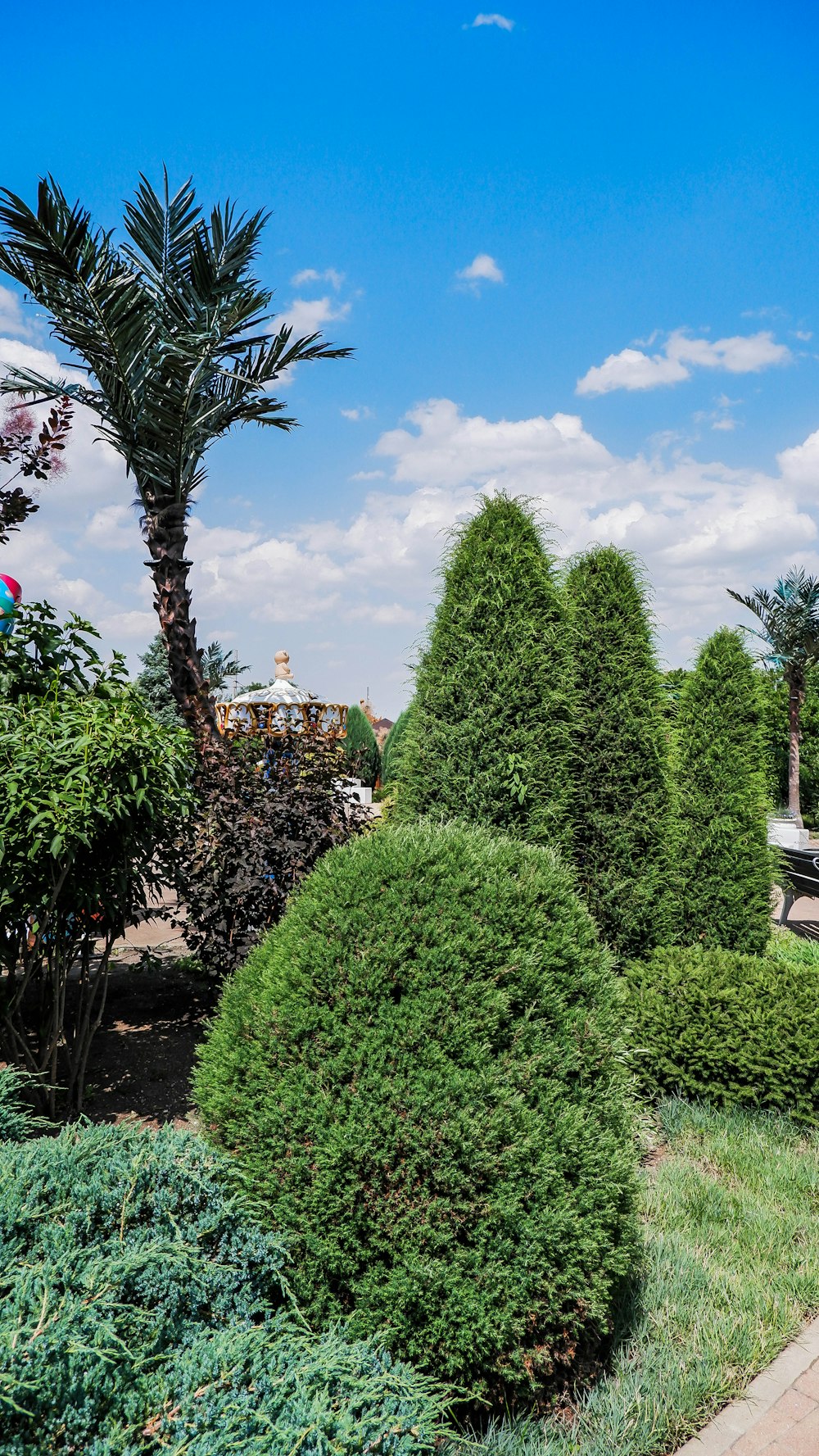 a large bush with a building in the background