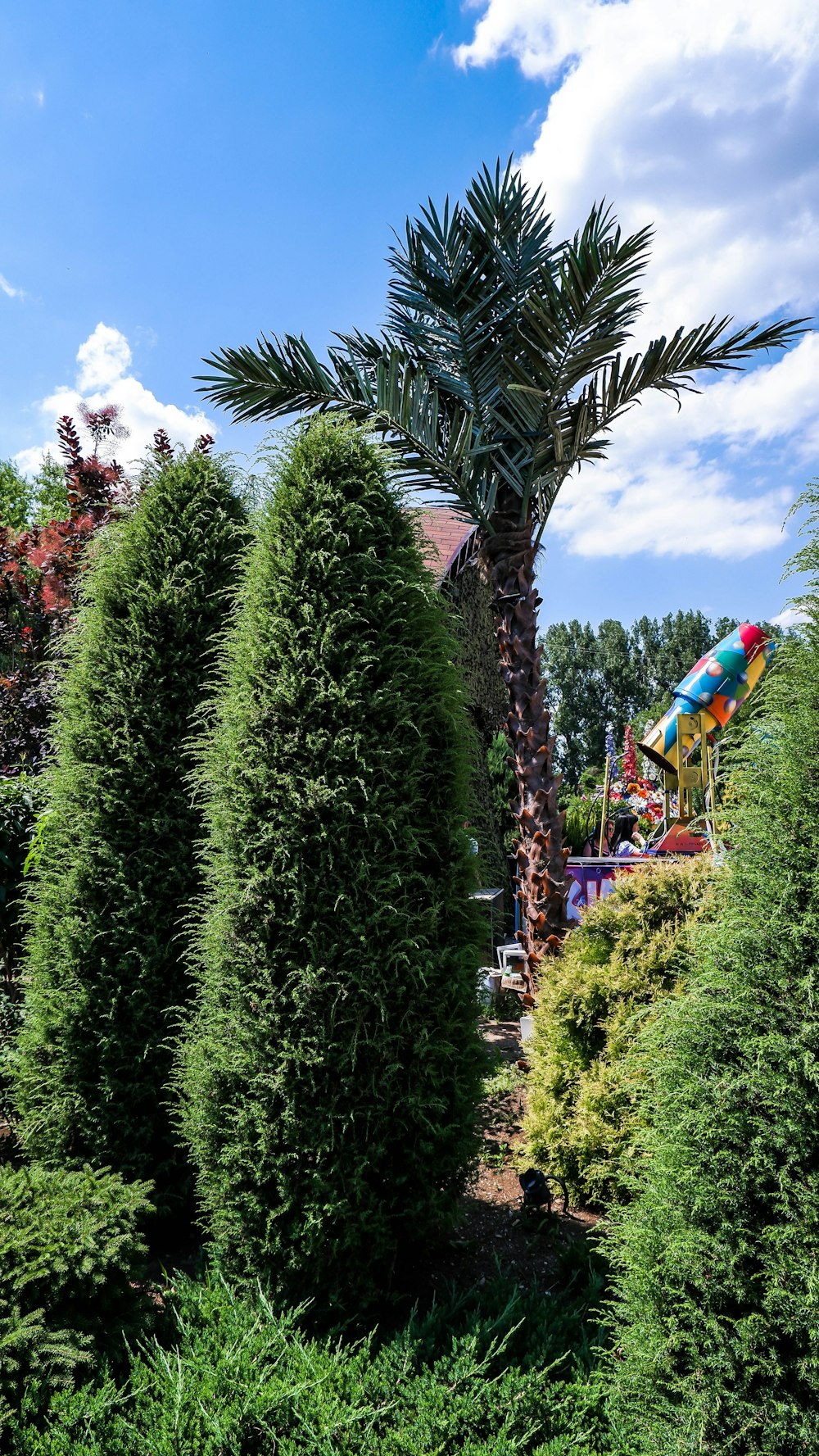 a tree with a colorful toy in the middle of a forest