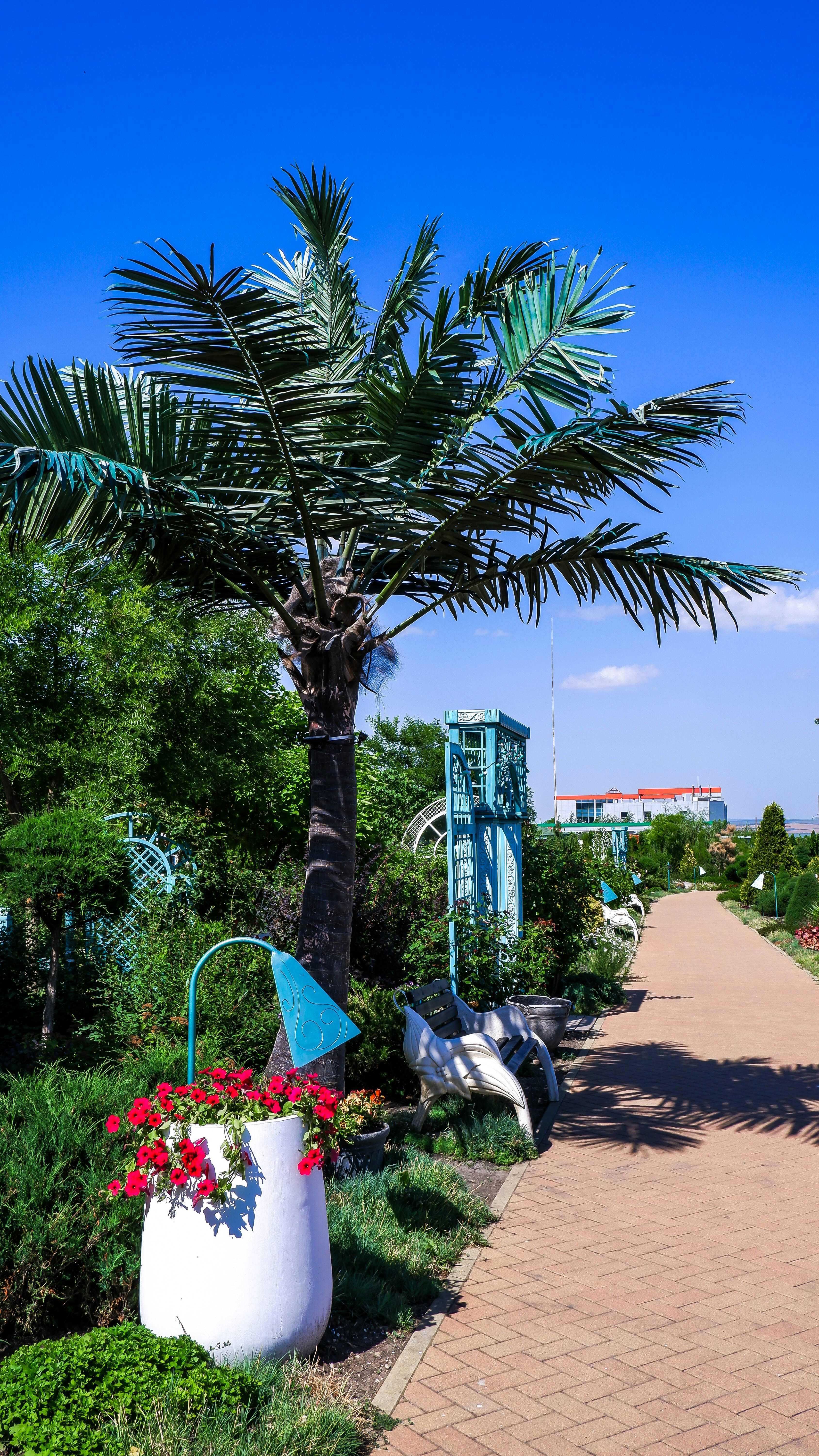 Photo by russellfoto