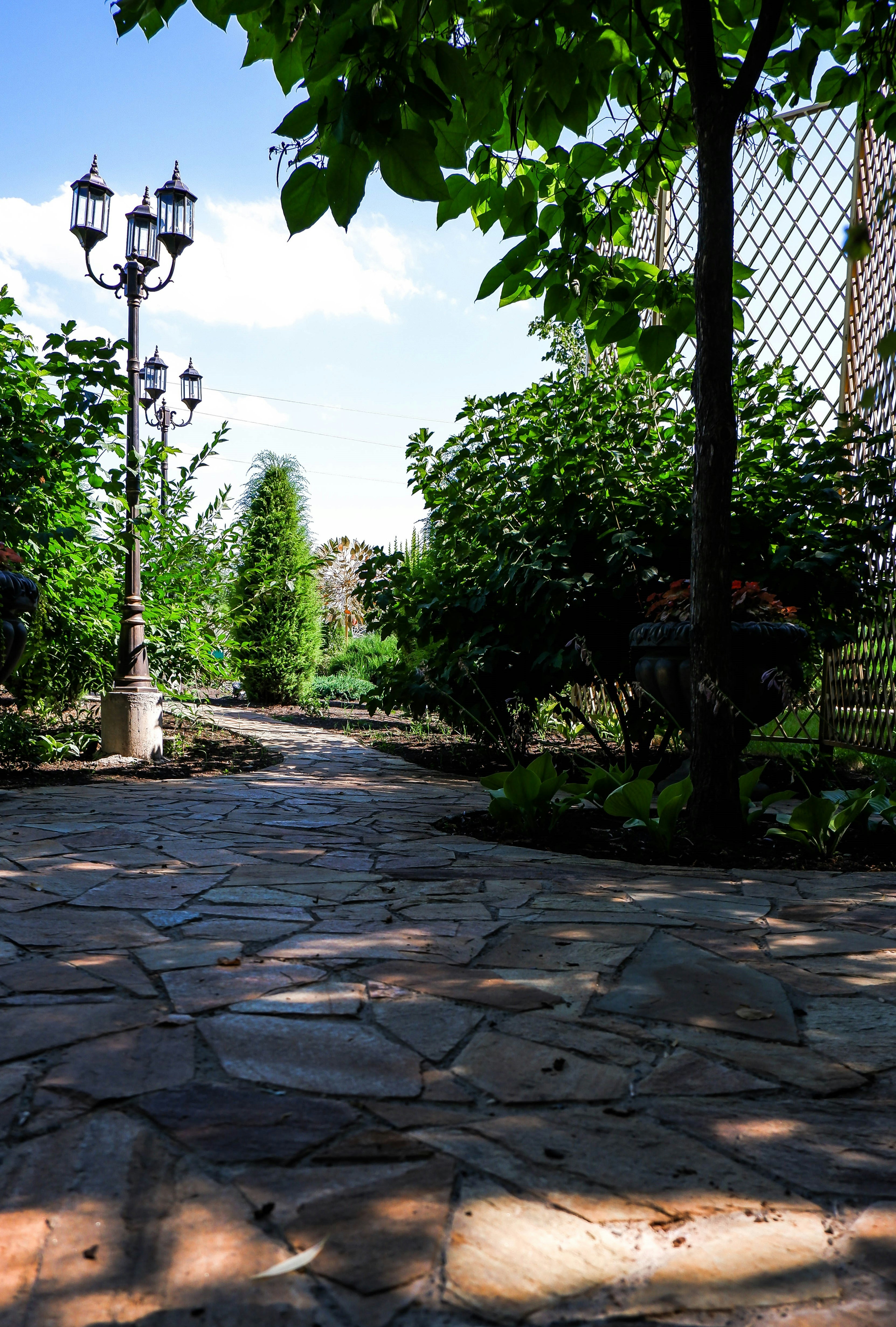 Photo by russellfoto