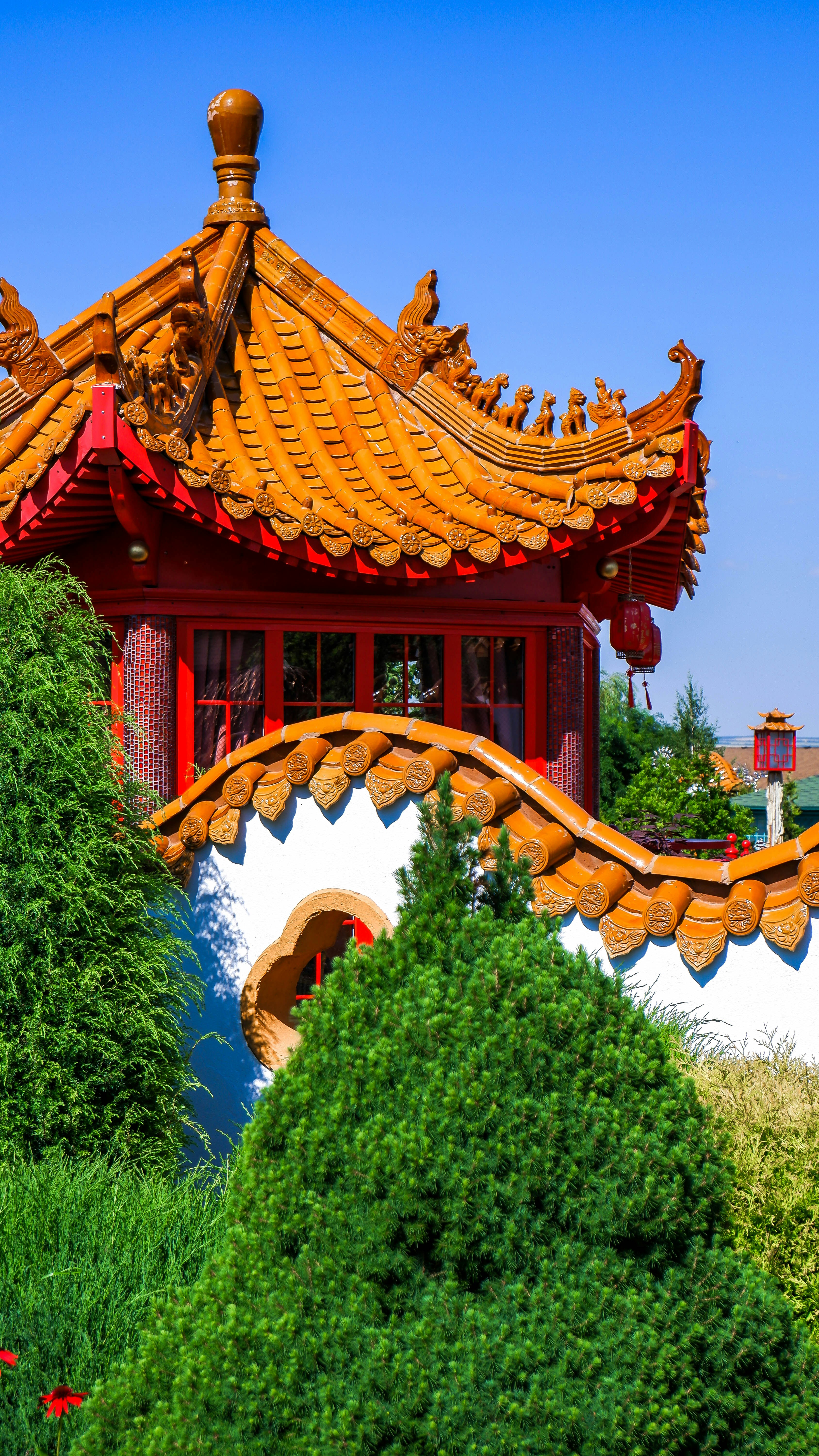 Photo by russellfoto