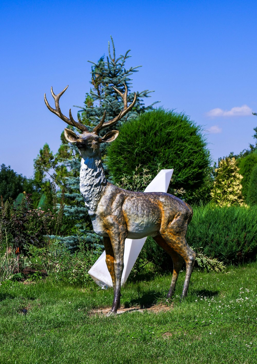 a deer with antlers in a grassy area with trees in the background