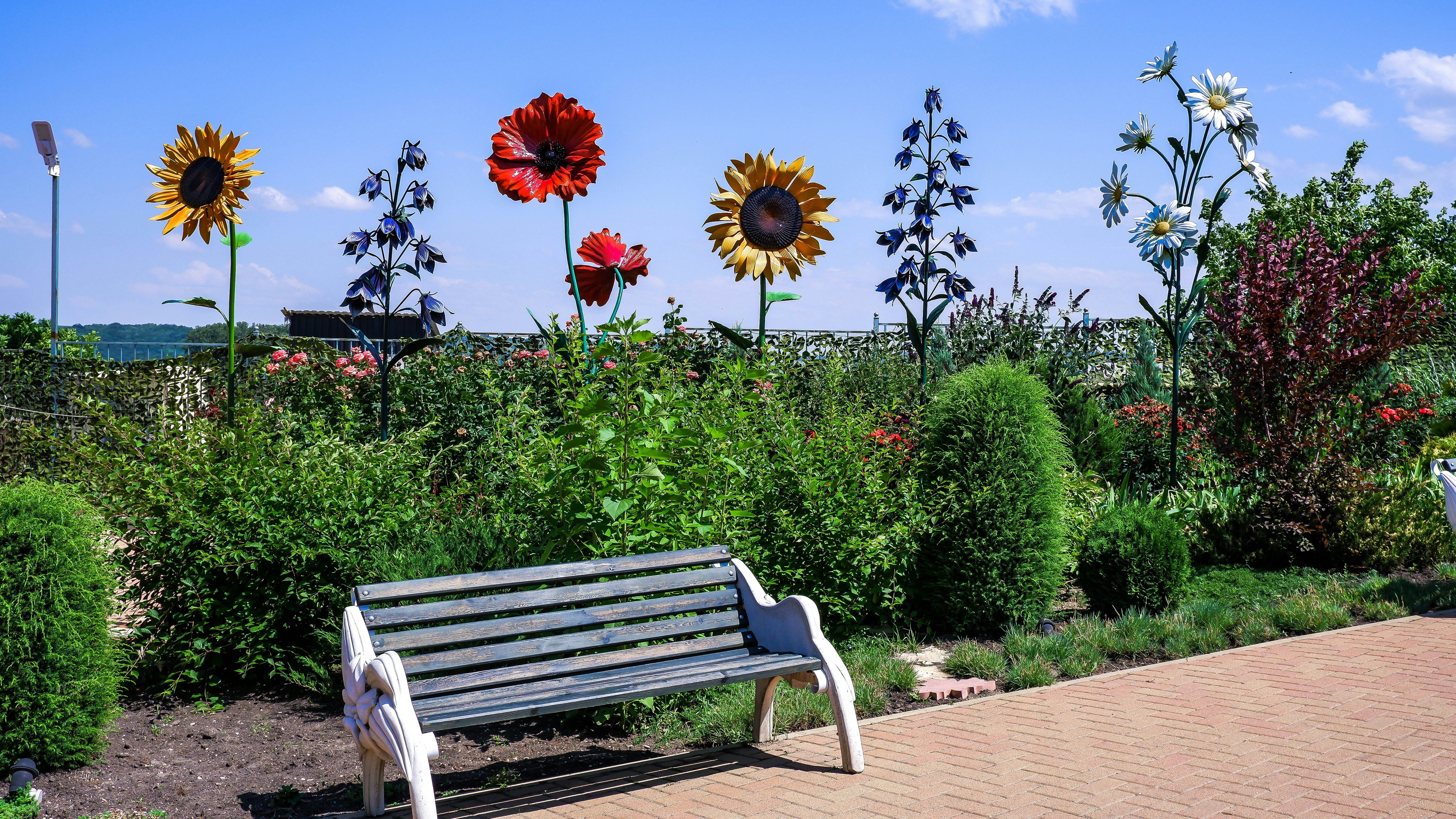 Sunflower Ridge Park