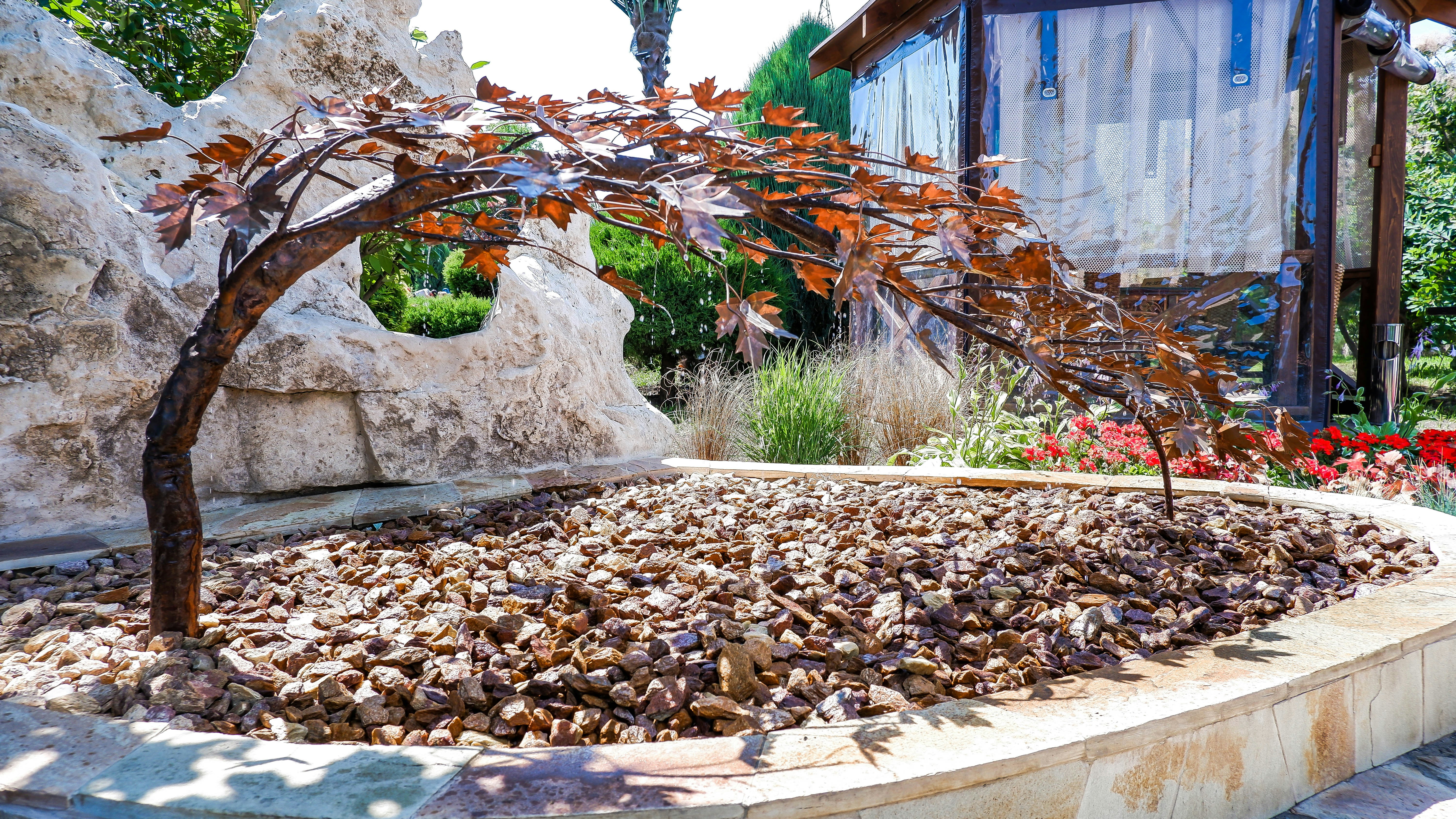 a tree with a large trunk
