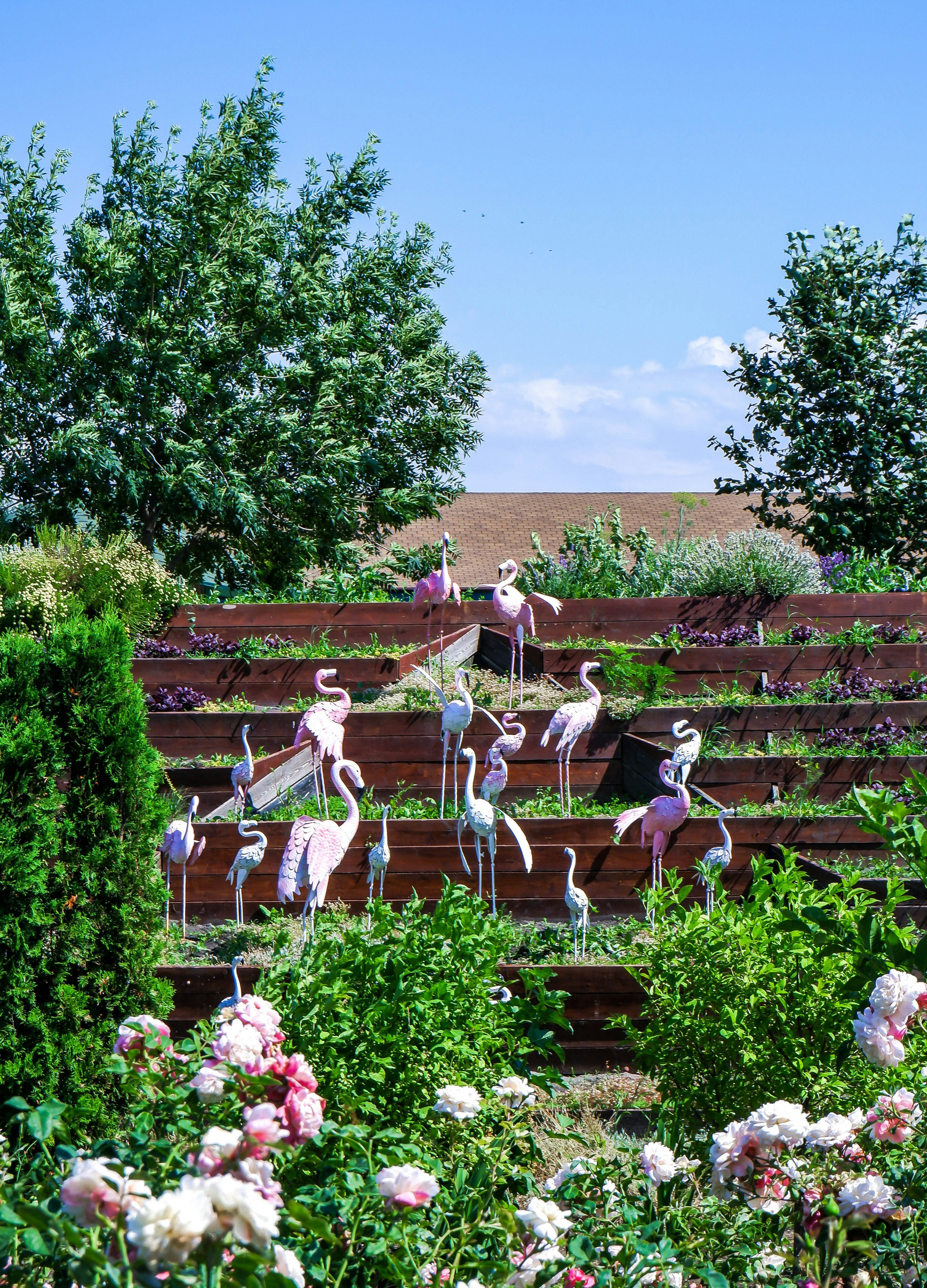 a garden with statues