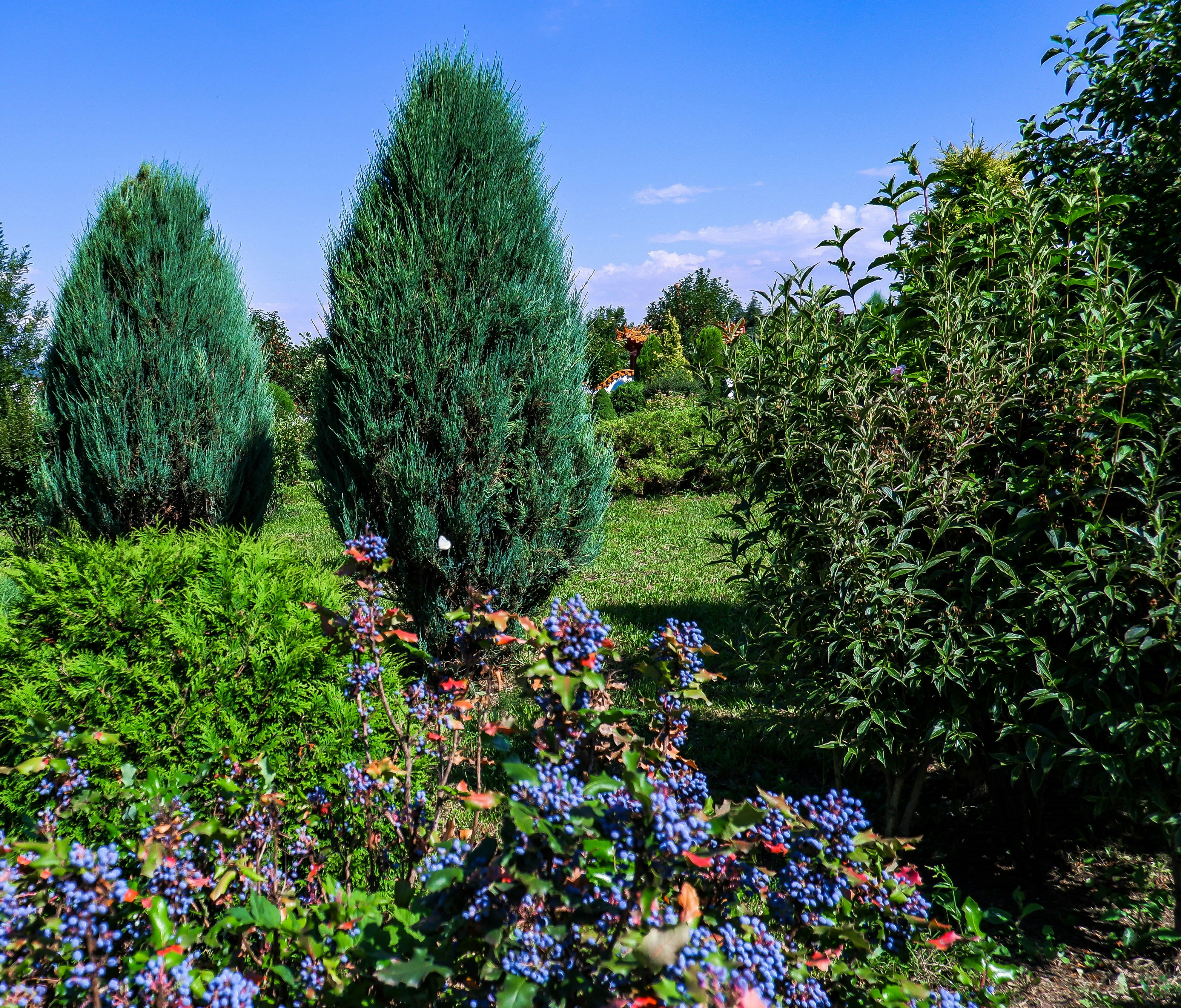 Photo by russellfoto