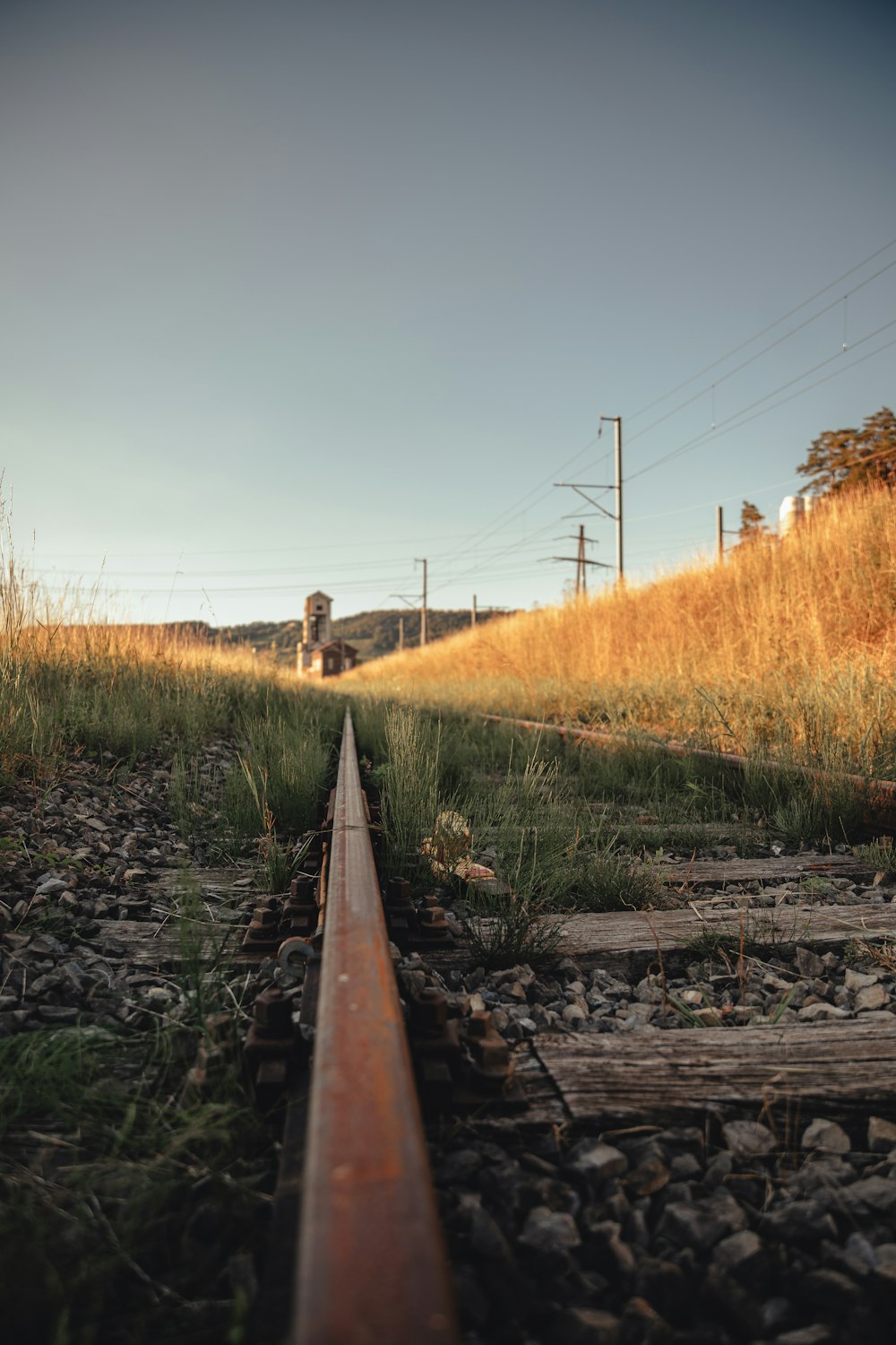 train tracks with grass and trees on either side of them