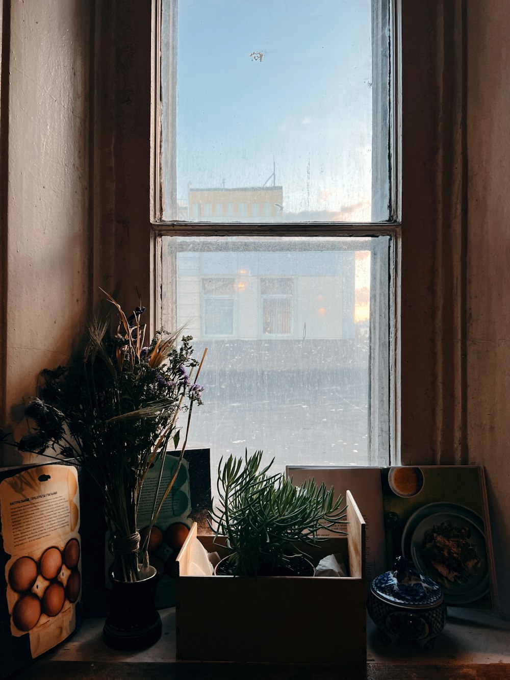 a window with a plant and a plant in front of it