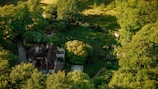 Aerial drone shot capturing a luxury mansion surrounded by lush greenery at sunset.