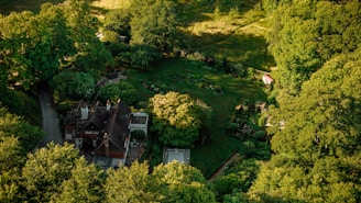 An aerial view of a large house surrounded by a lush, green landscape. The house is nestled among thick trees, with a well-maintained garden and a small shed visible nearby. The sunlight filters through the canopy, casting dappled shadows on the ground.