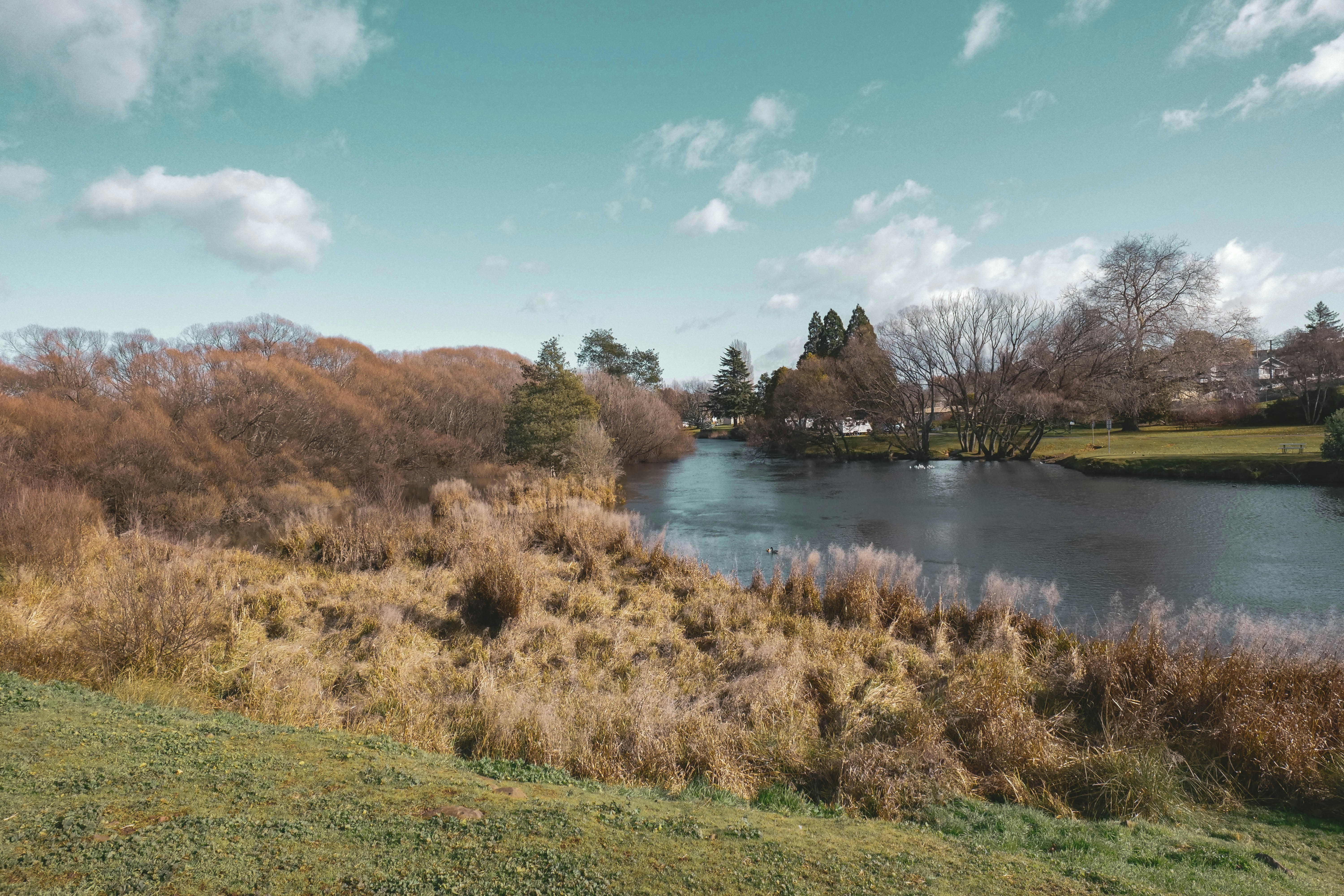 Photo by divineproductionsfilms