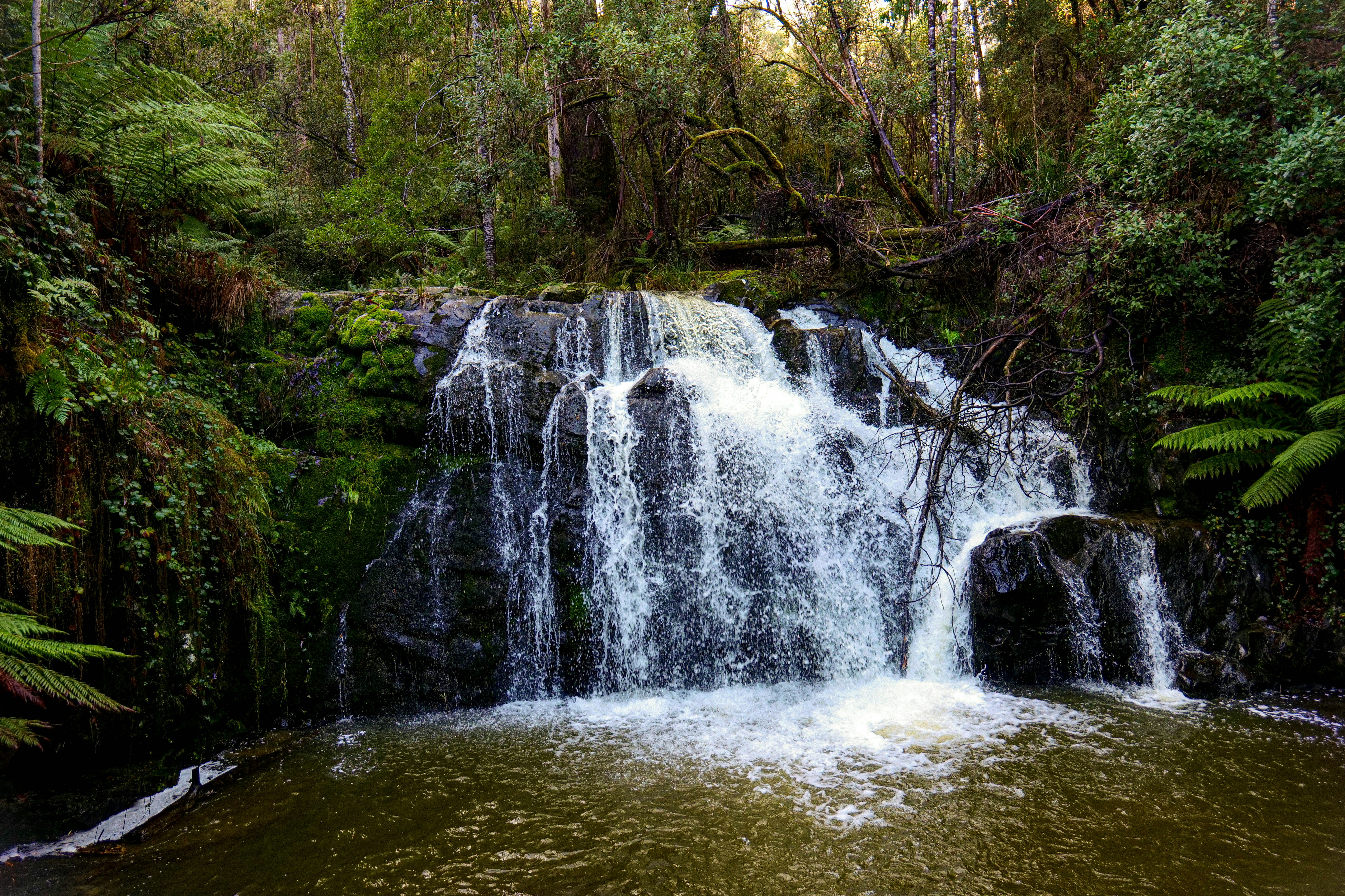 Photo by divineproductionsfilms